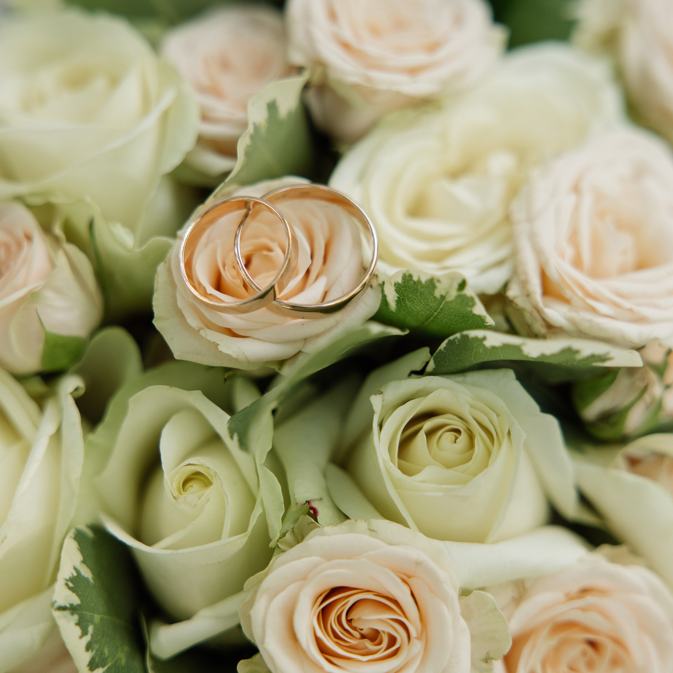 Отзывы о фотографе Марии Донцу. Семейный и свадебный фотограф в Самаре и Кинеле Мария Донцу