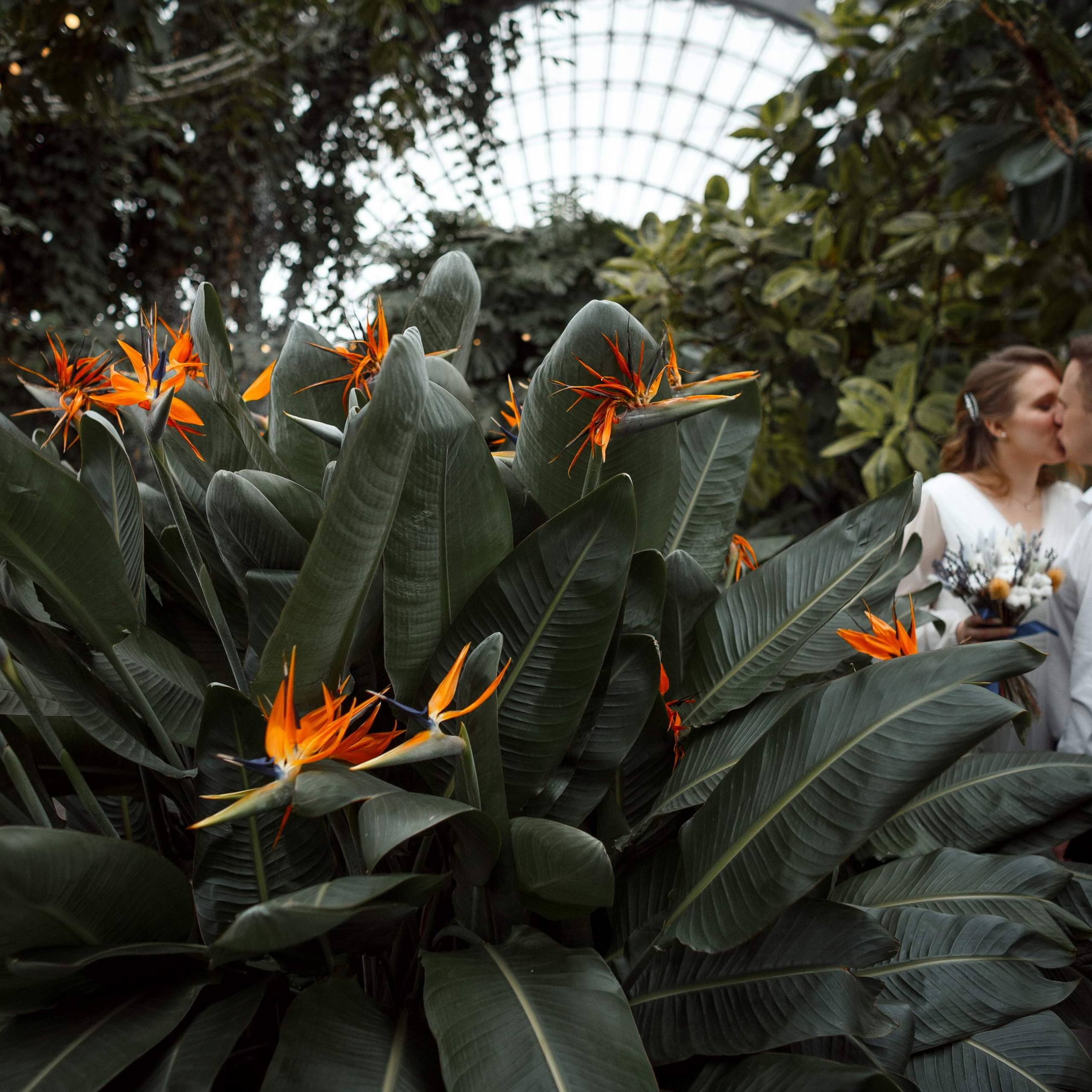 Анонс: Дарья и Владимир. Свадебный фотограф Игорь Брундасов 8PHOTO на свадьбу венчание загс СПб
