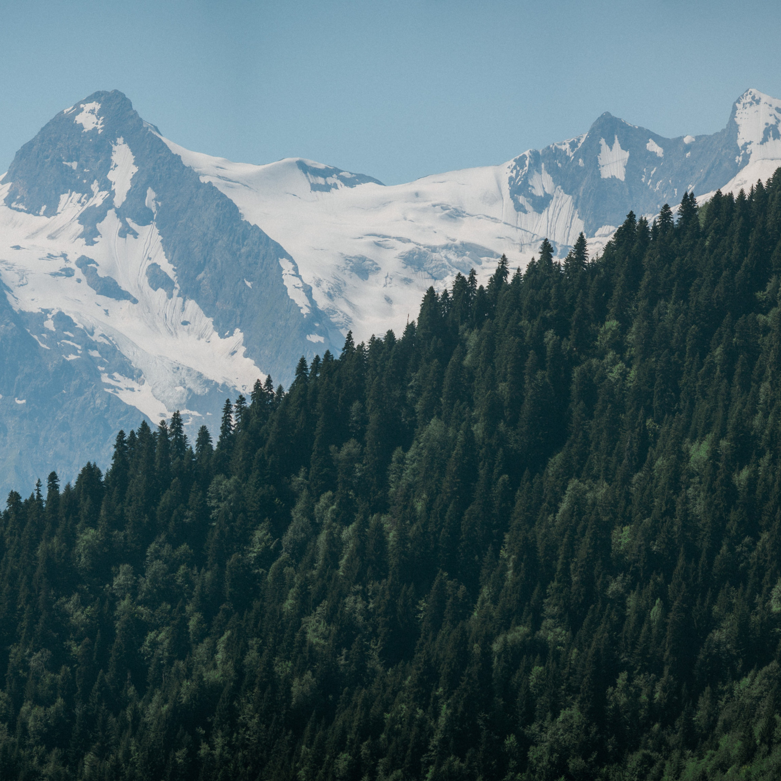 Review’s. Wedding photographers Tbilisi Georgia Alex and Polly