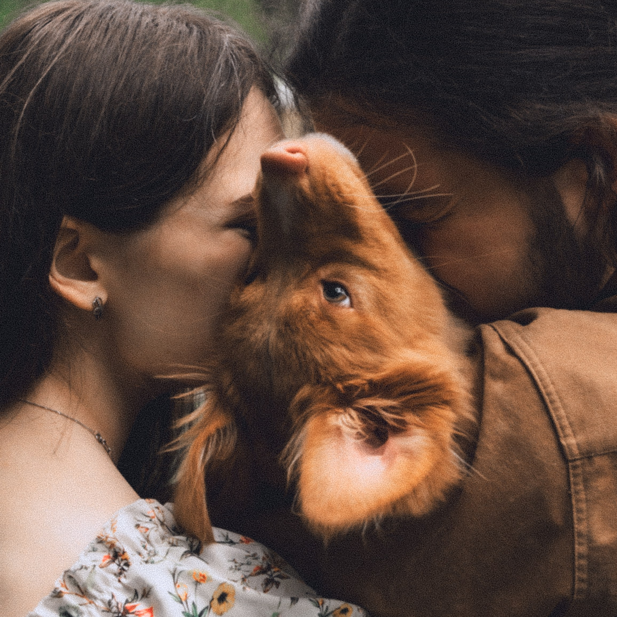 В ♡ А ✧ Айя — Любовь с рыжим хвостиком