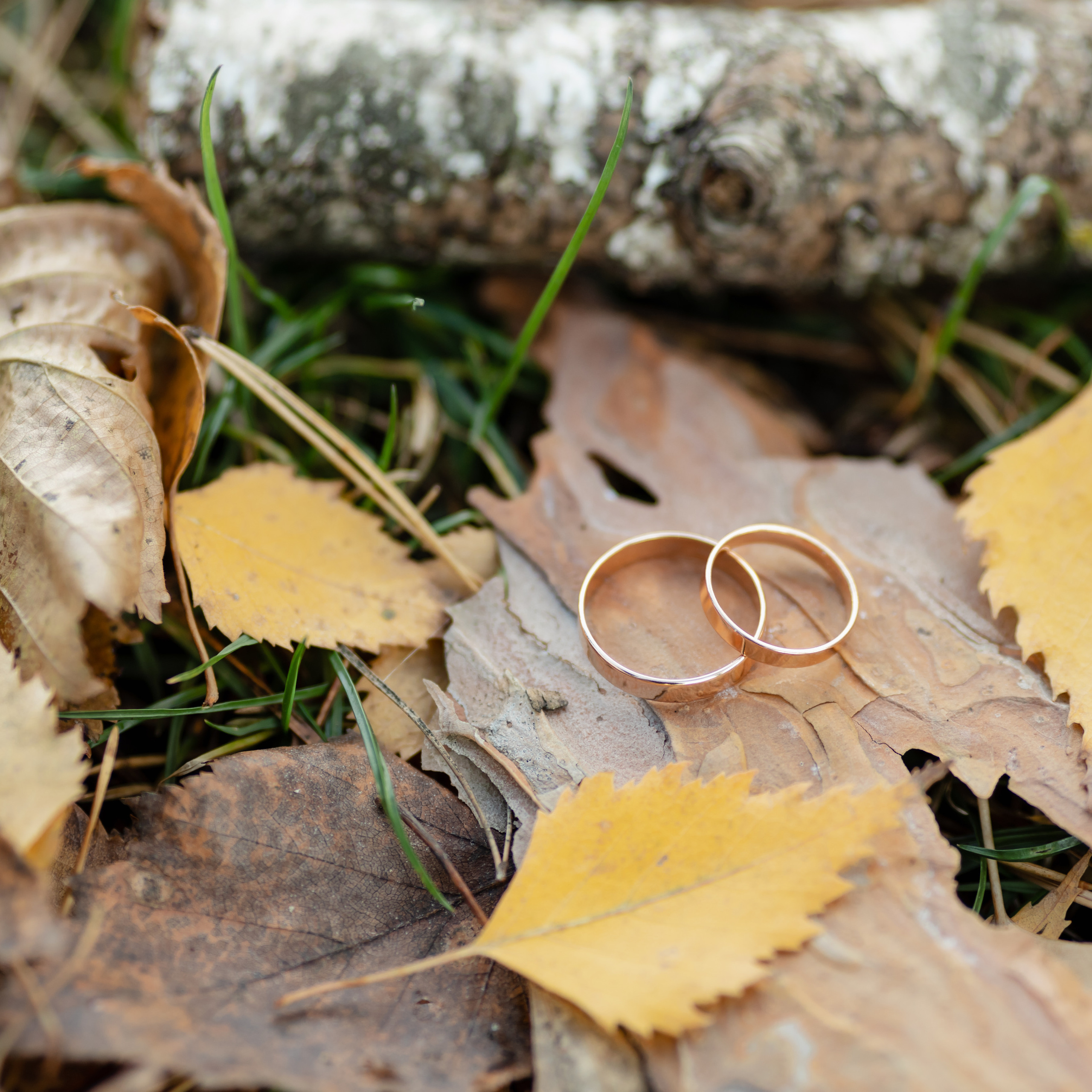 Отзывы. Свадебный фотограф в Ставрополе Катерина