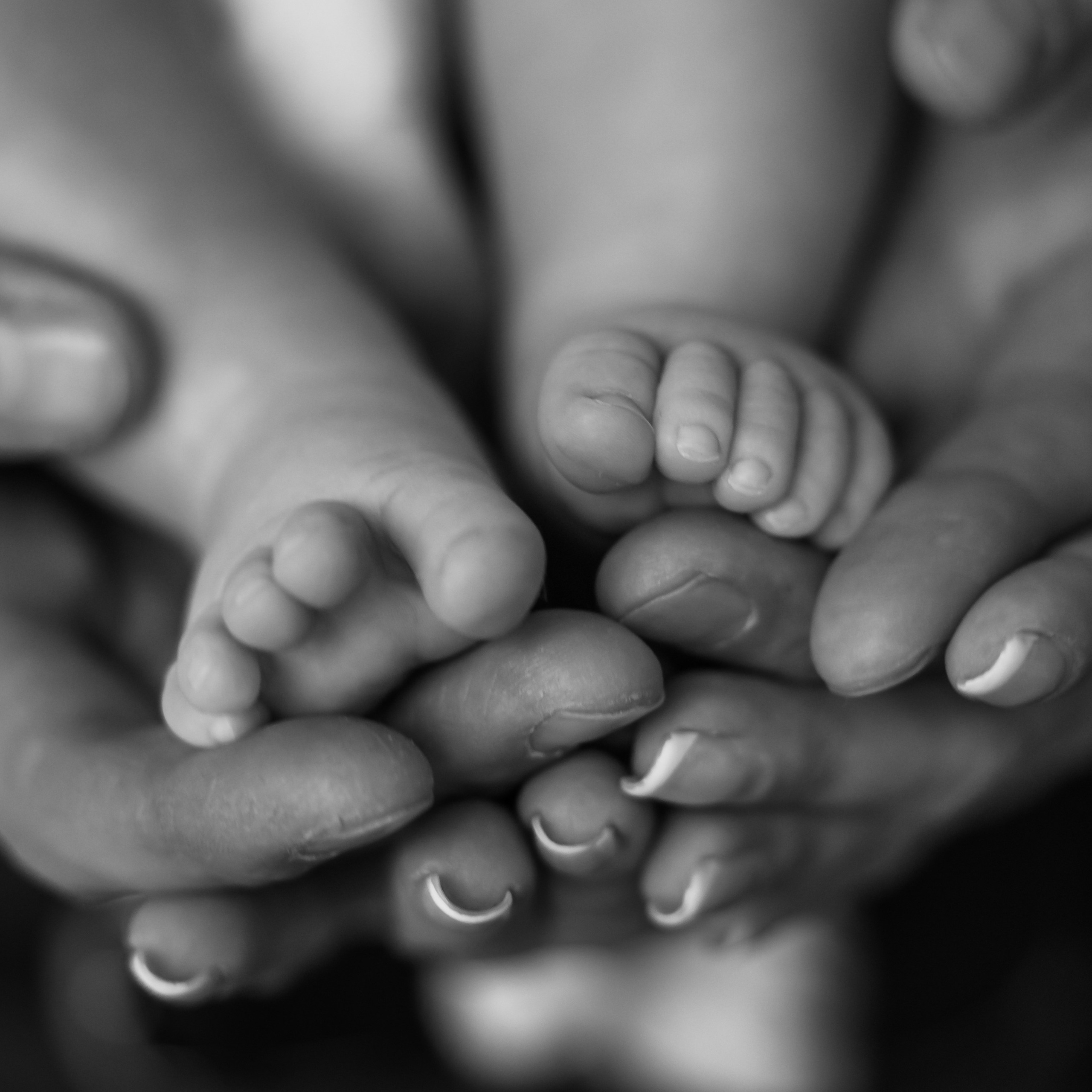 Отзывы. Свадебный фотограф в Ставрополе Катерина