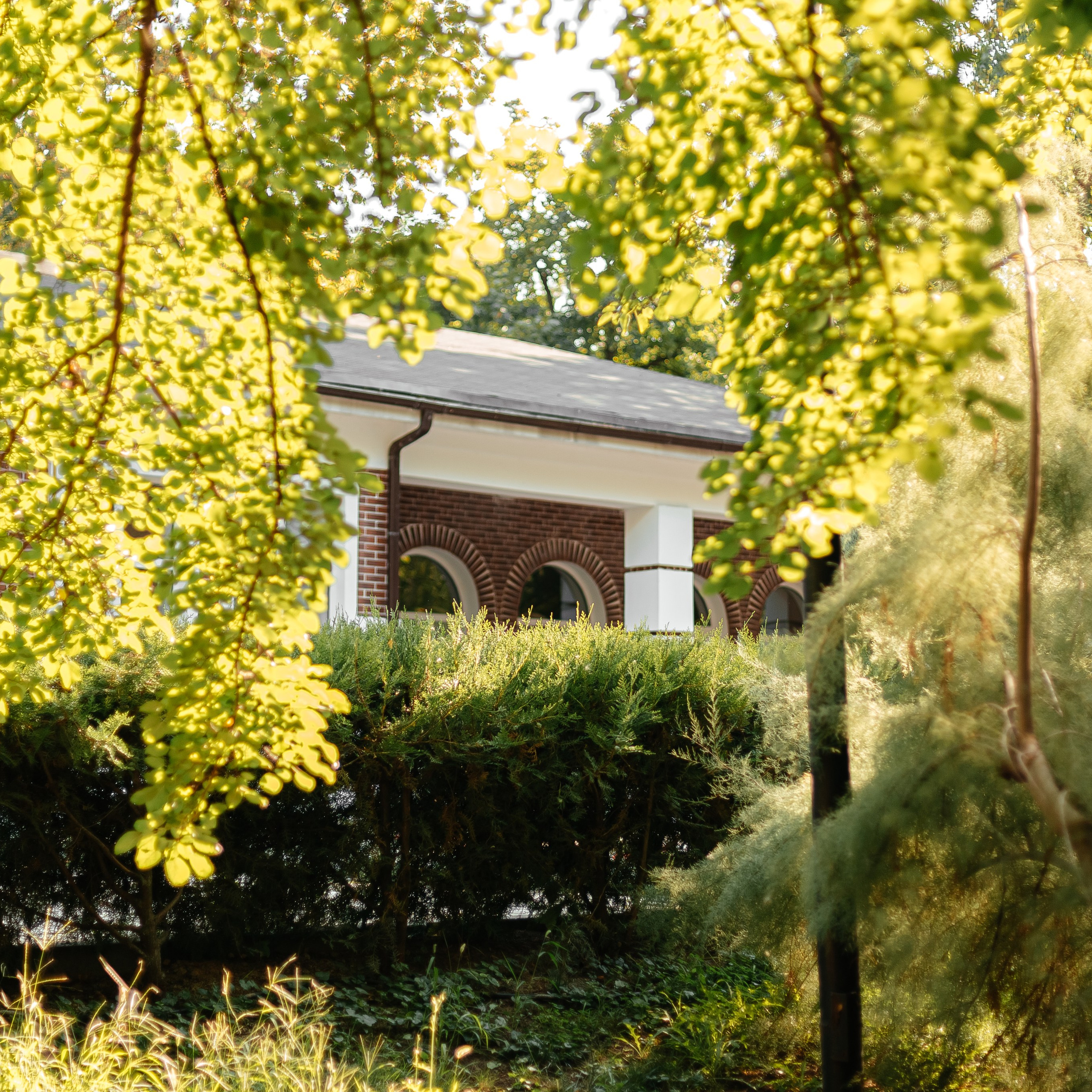 фотодень Левита