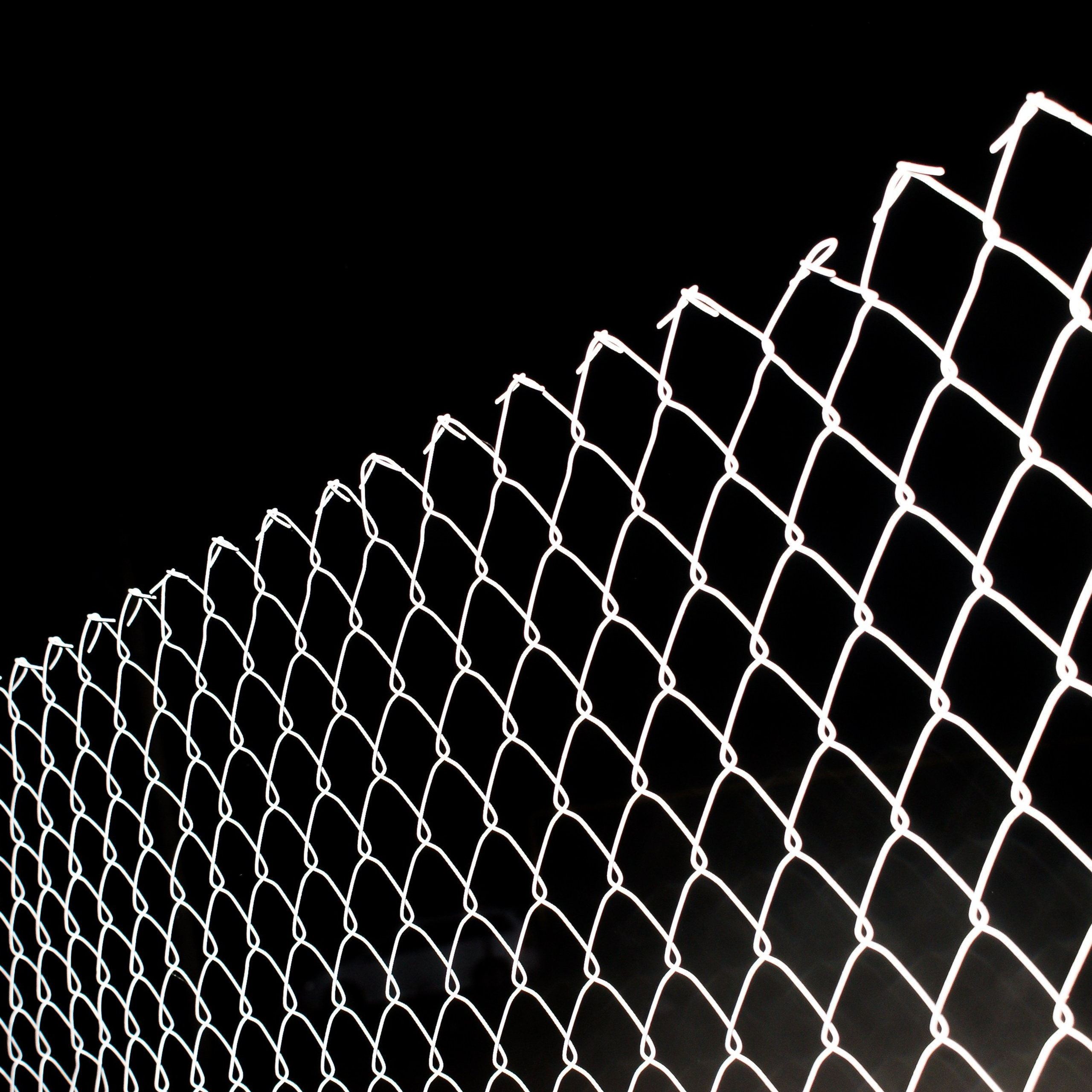 Сетка. Фотография Стремского