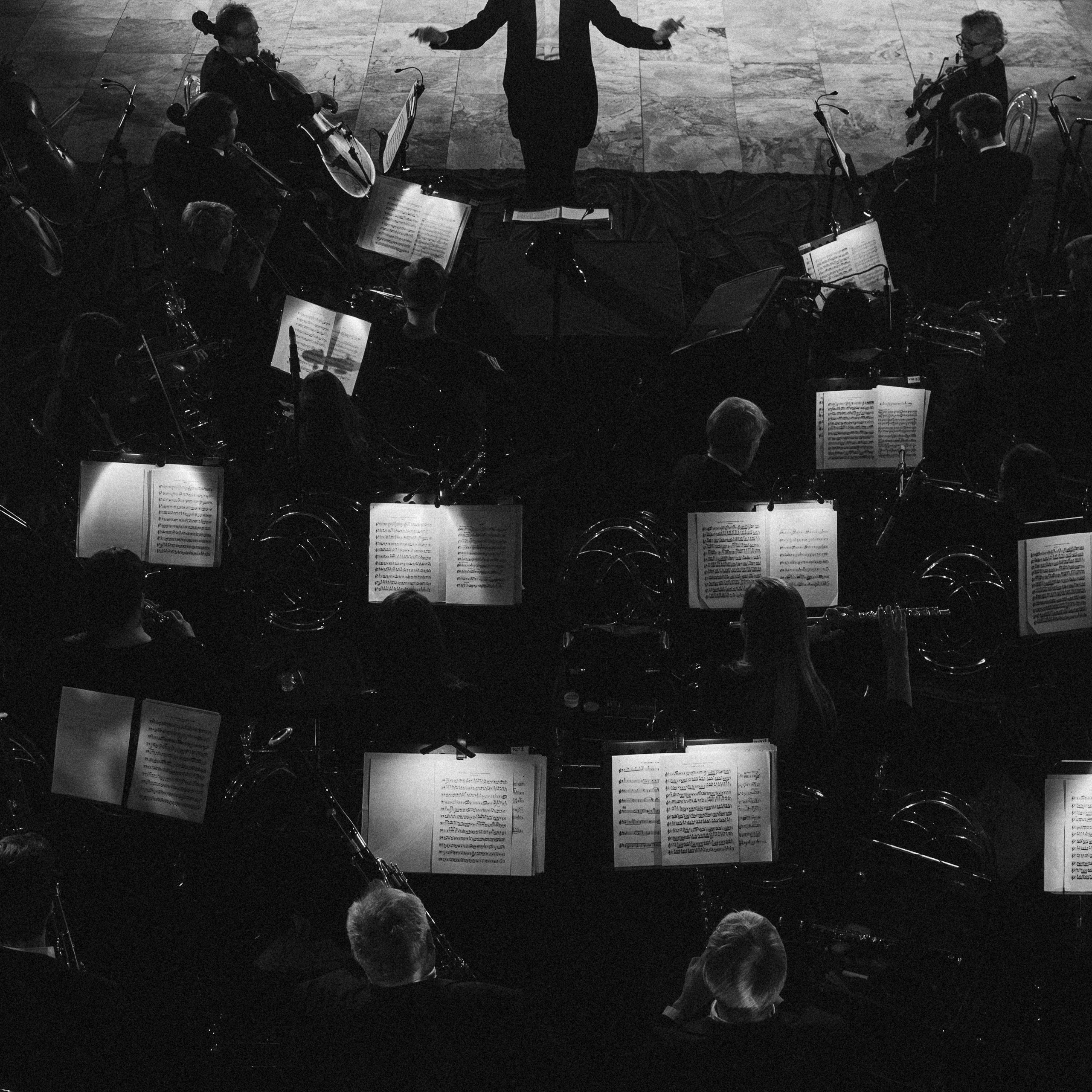 Aesthetes' Ball. Свадебный и портретный фотограф в Москве Сергей Бузин