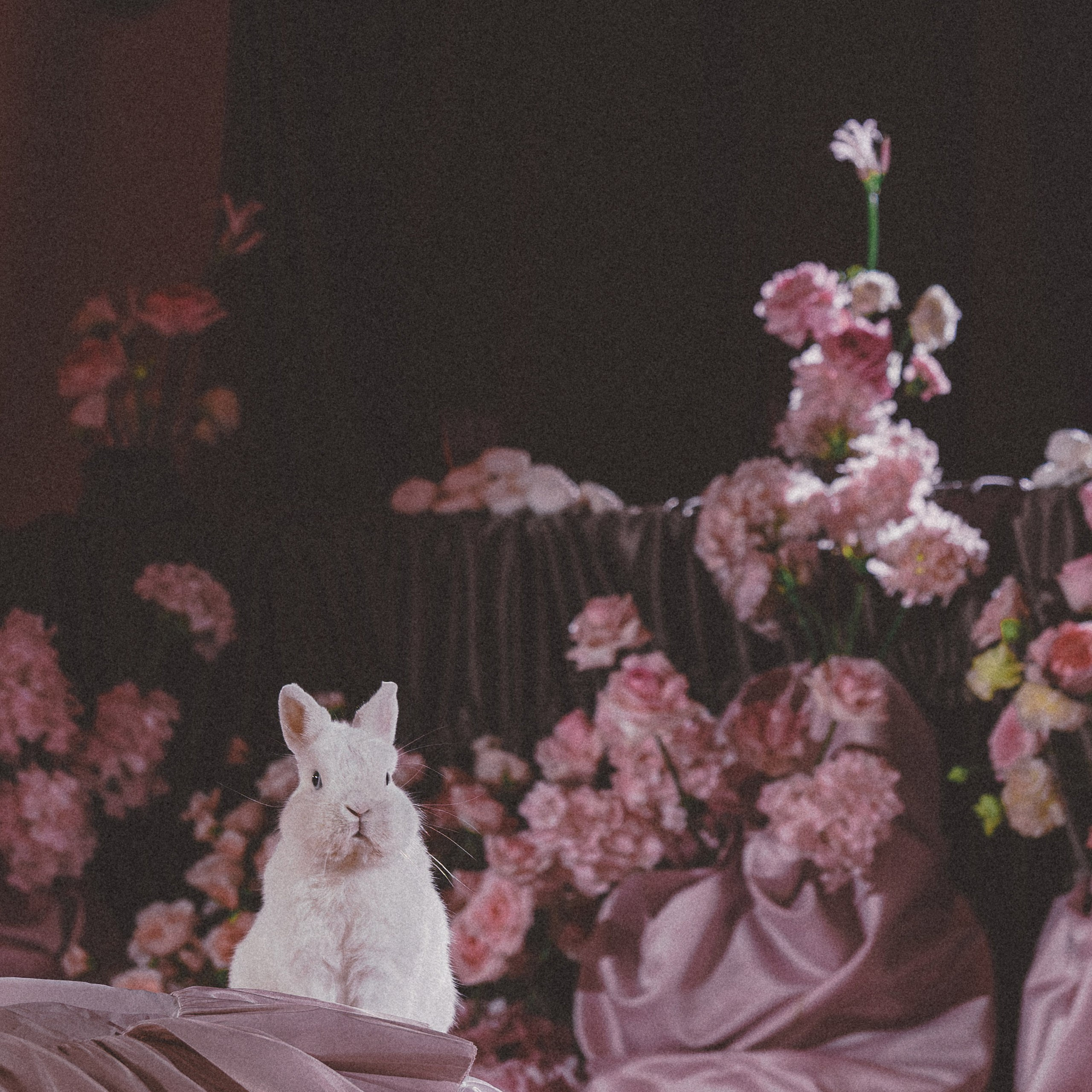 Сергей и Кристина. Свадебный и портретный фотограф в Москве Сергей Бузин