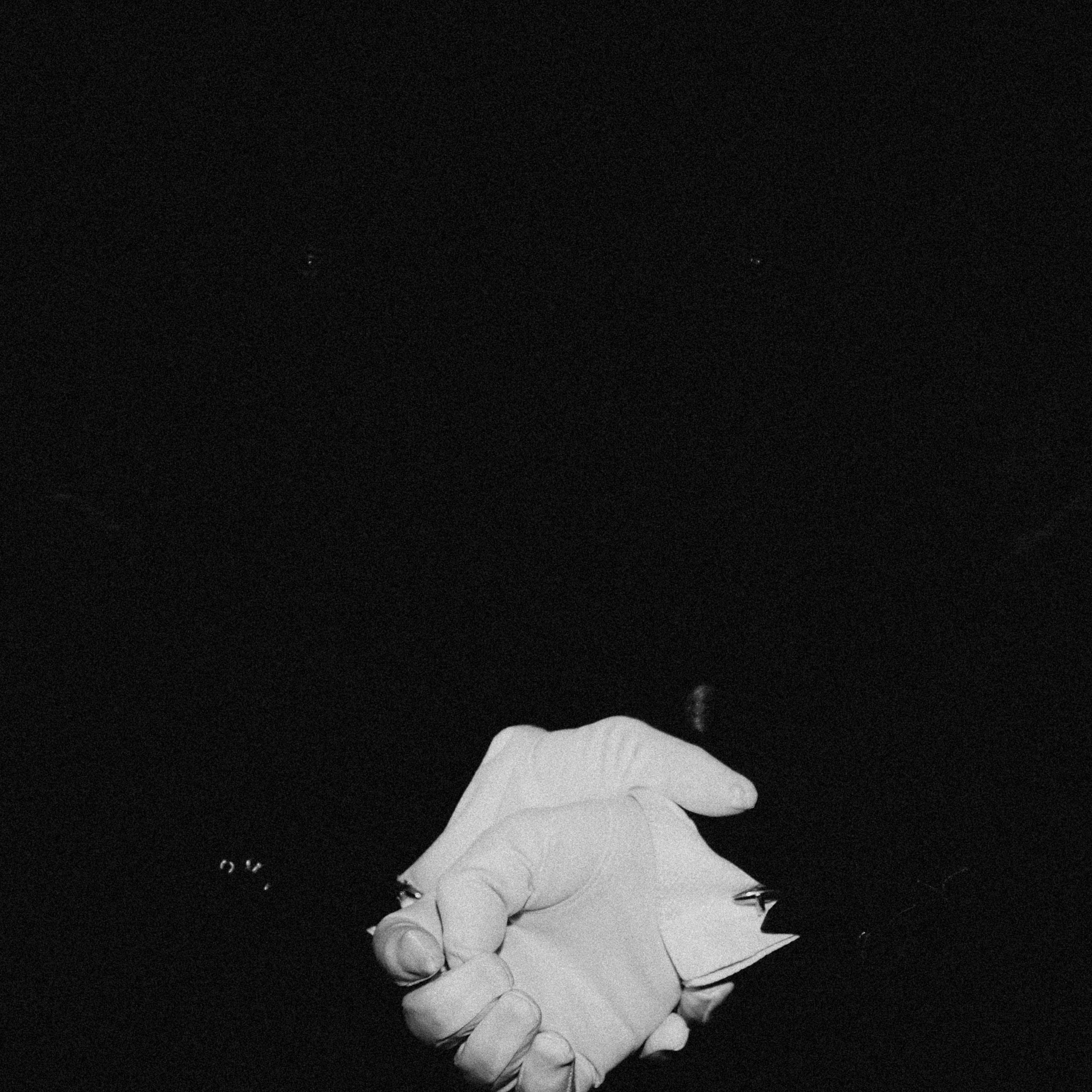 Aesthetes' Ball. Свадебный и портретный фотограф в Москве Сергей Бузин