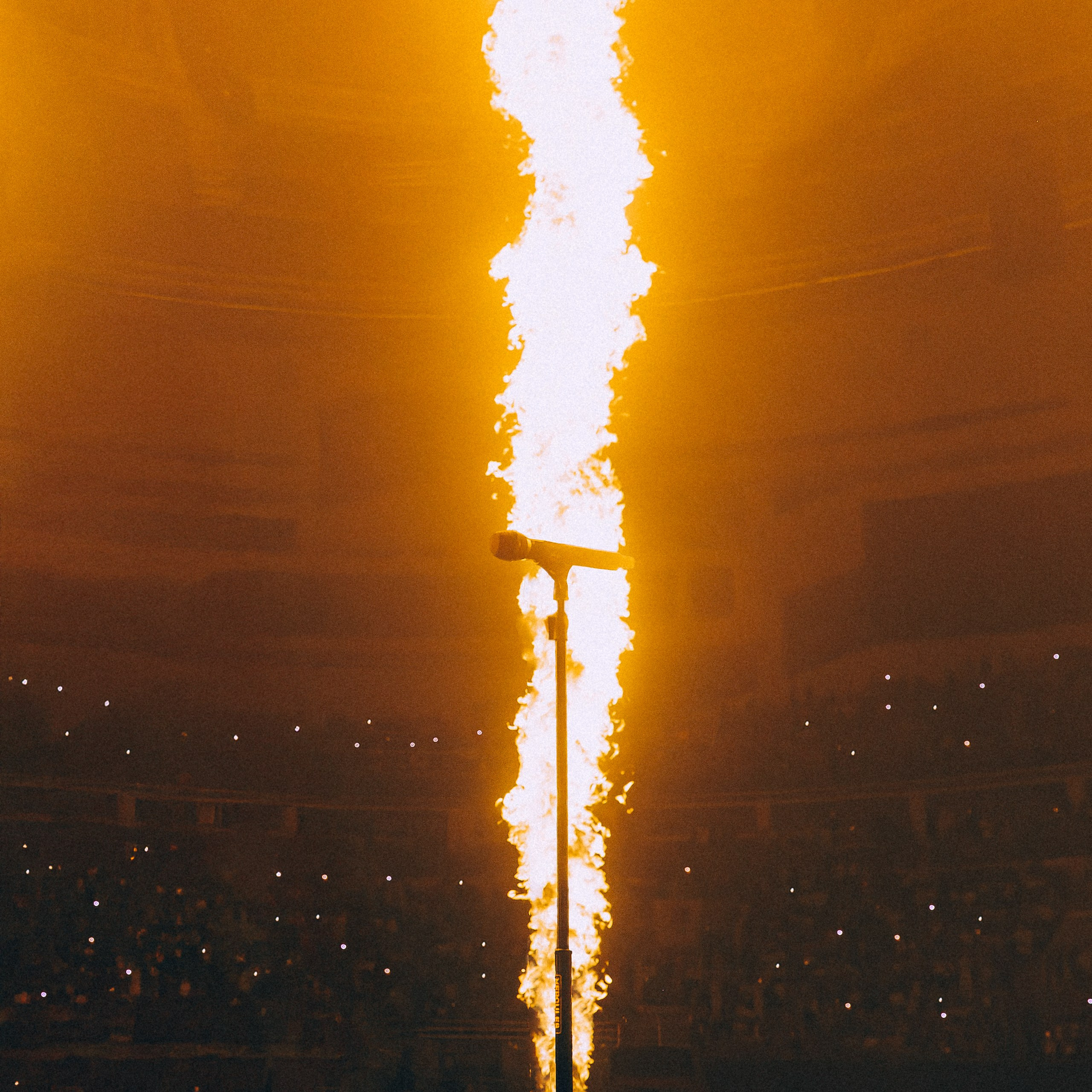 HammAli & Navai. Свадебный и портретный фотограф в Москве Сергей Бузин