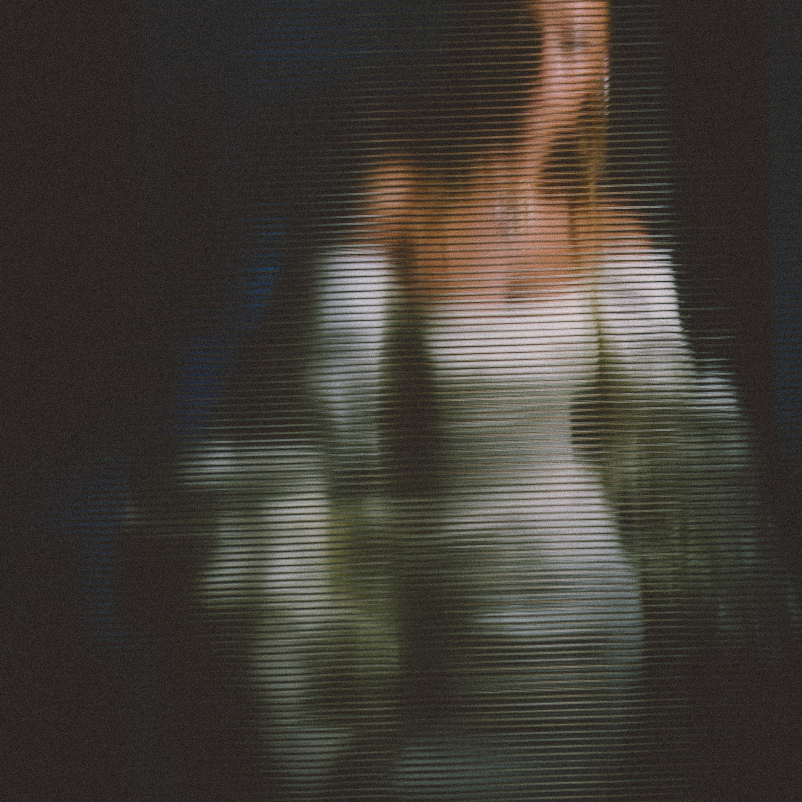 Руслан и Евгения. Свадебный и портретный фотограф в Москве Сергей Бузин