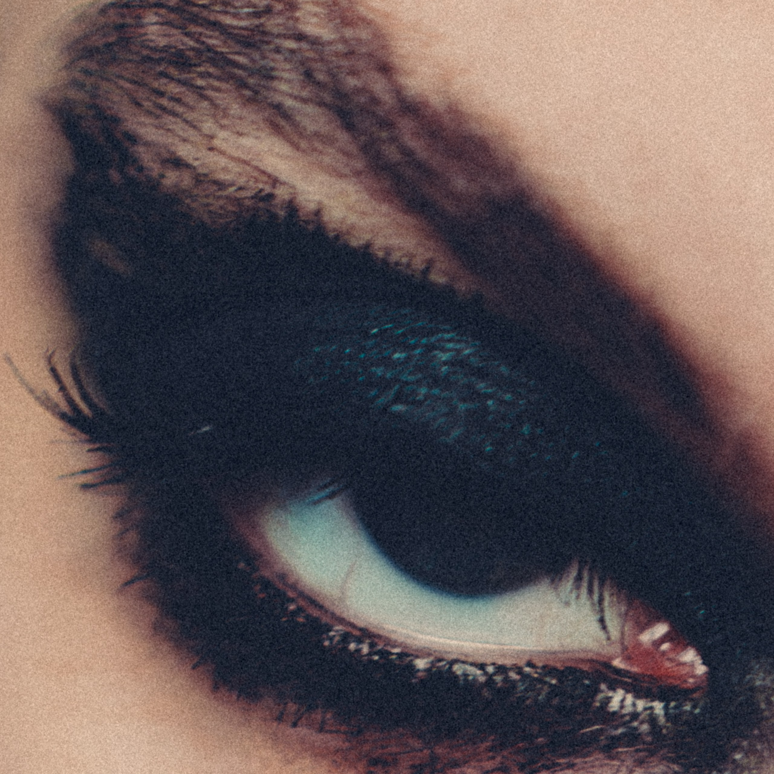 Свадебный и портретный фотограф в Москве Сергей Бузин