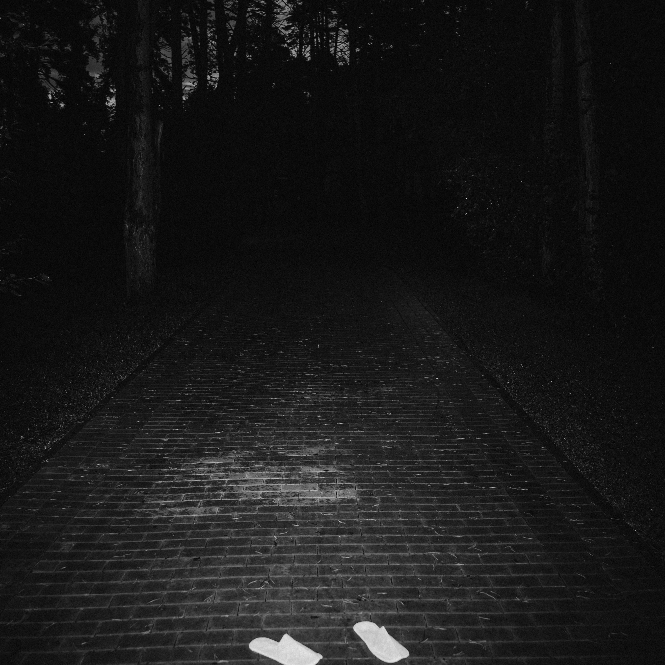 Герман и Яна. Свадебный и портретный фотограф в Москве Сергей Бузин