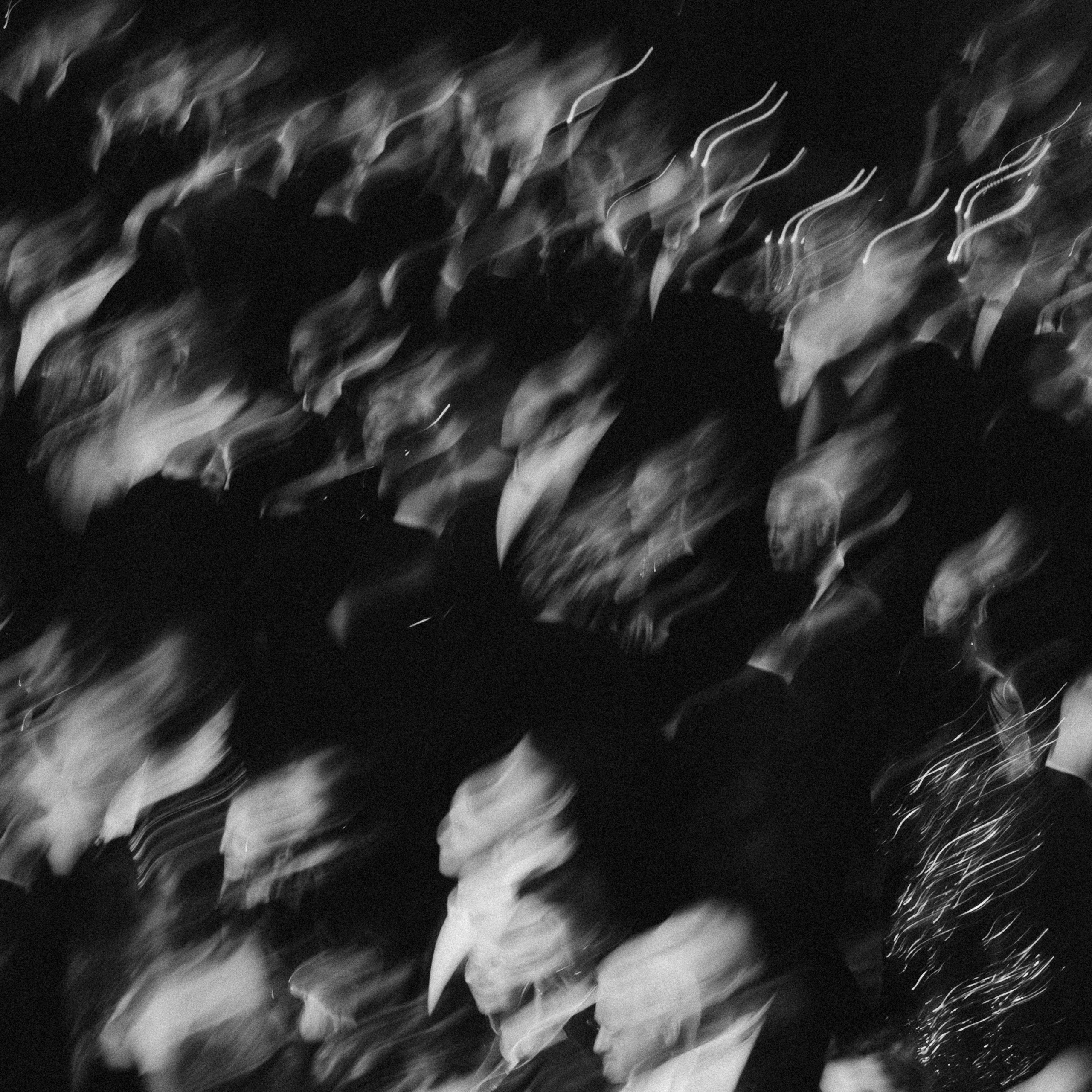 Aesthetes' Ball. Свадебный и портретный фотограф в Москве Сергей Бузин