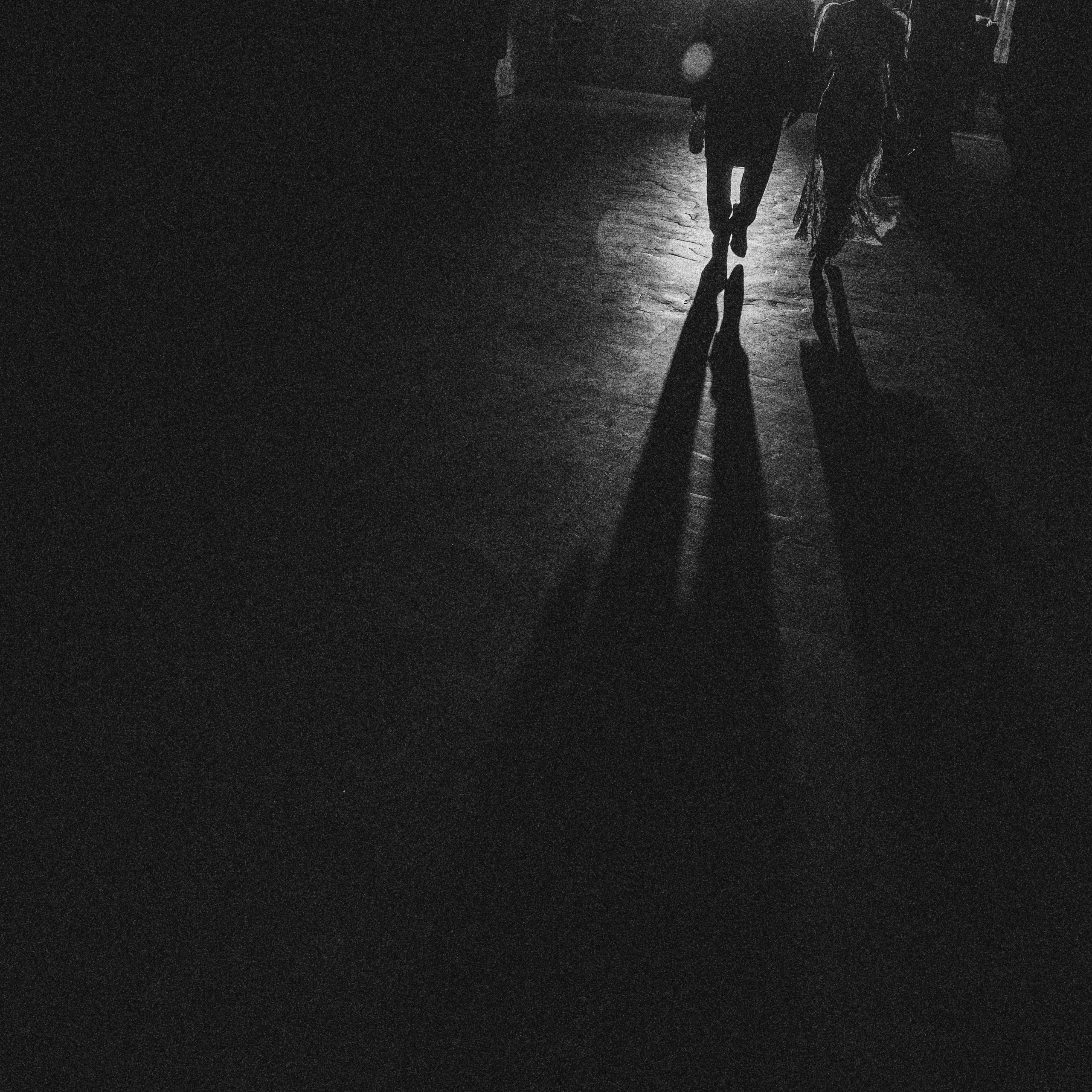 Aesthetes' Ball. Свадебный и портретный фотограф в Москве Сергей Бузин