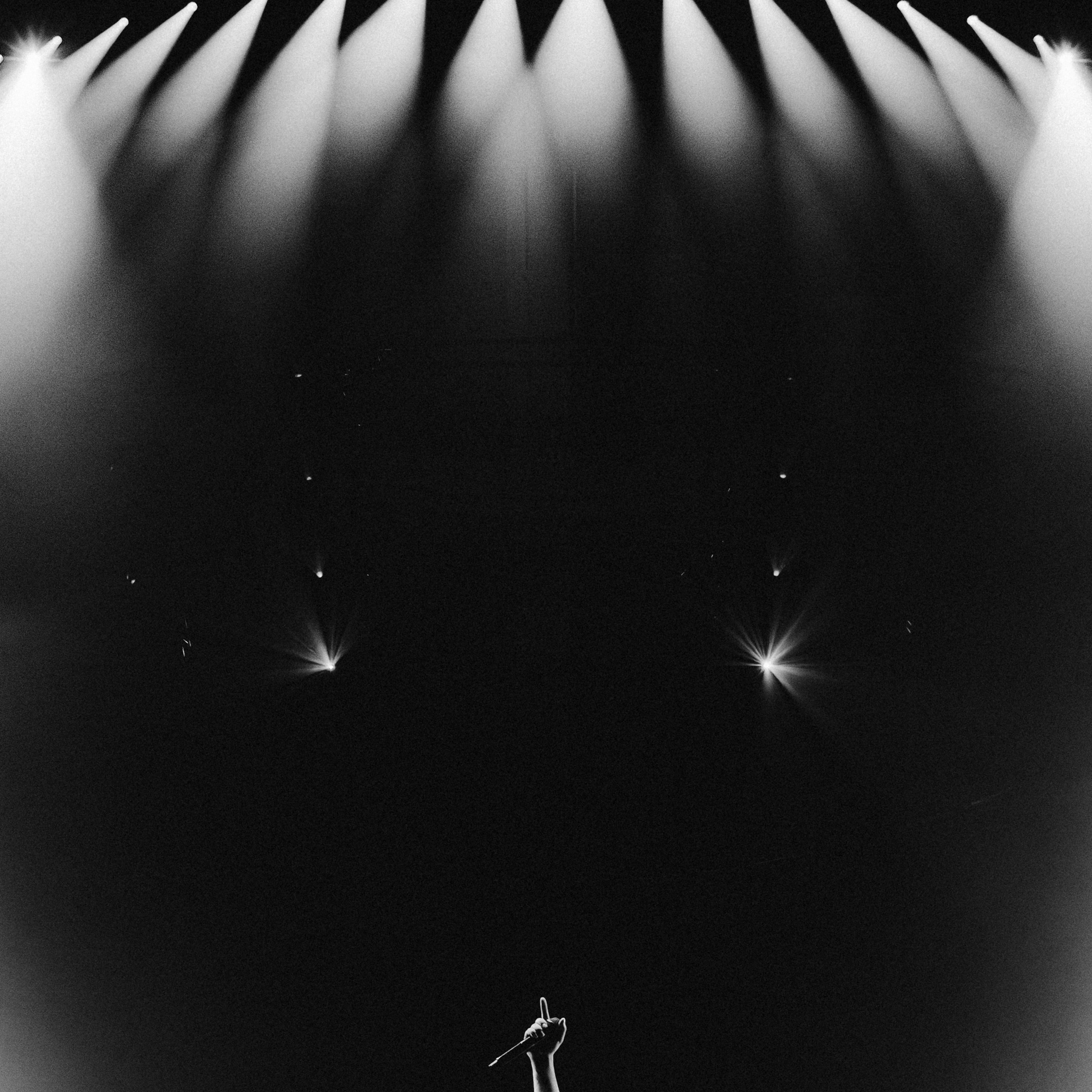 HammAli & Navai. Свадебный и портретный фотограф в Москве Сергей Бузин