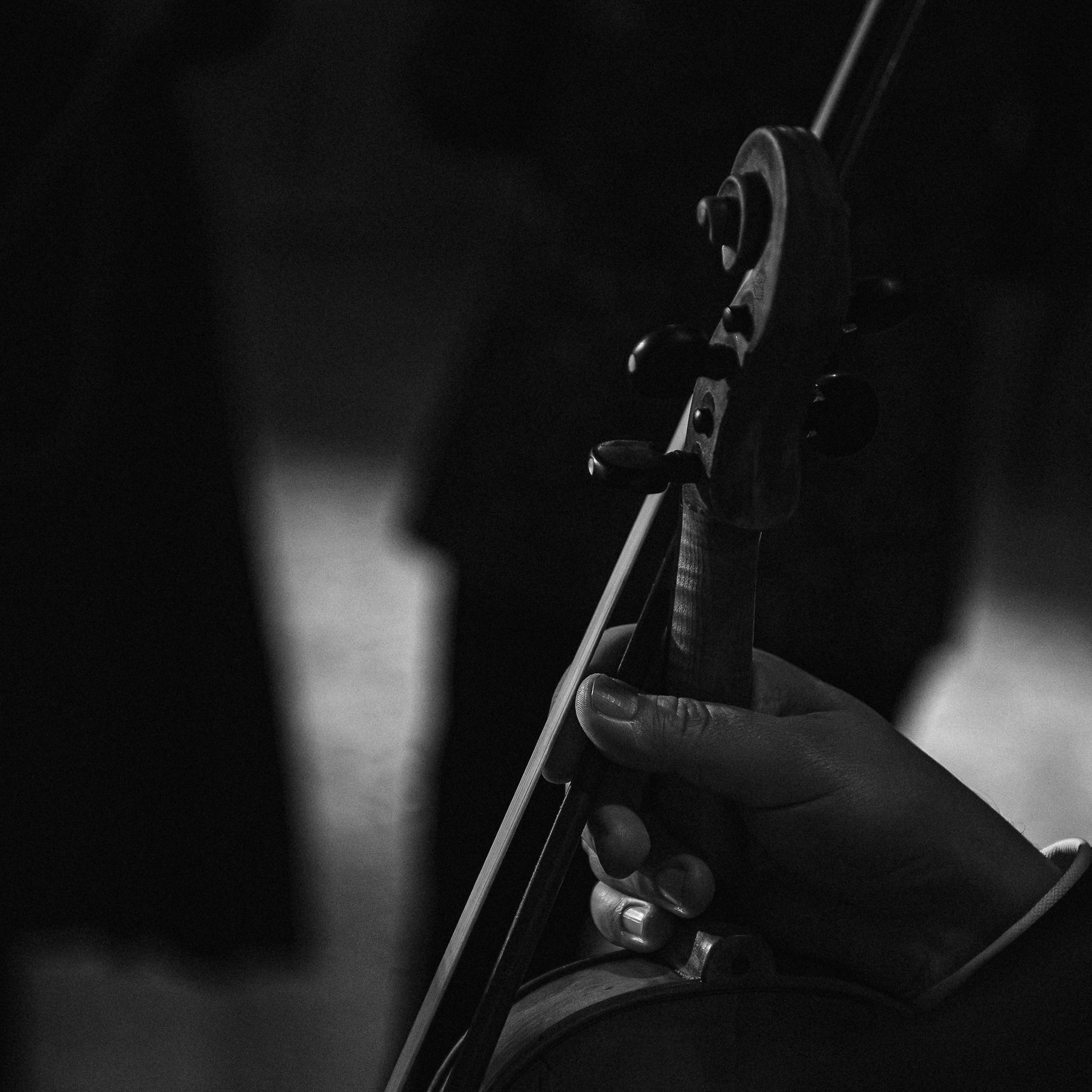 Villa Michetti x Grey Chic. Свадебный и портретный фотограф в Москве Сергей Бузин