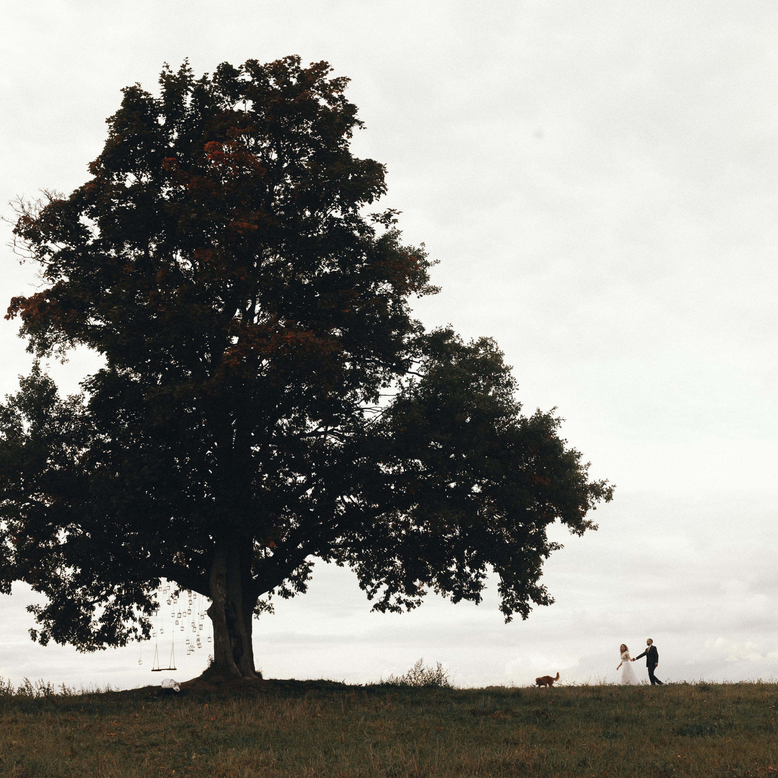 Отзывы. Свадебный и семейный фотограф в Санкт-Петербурге и Москве