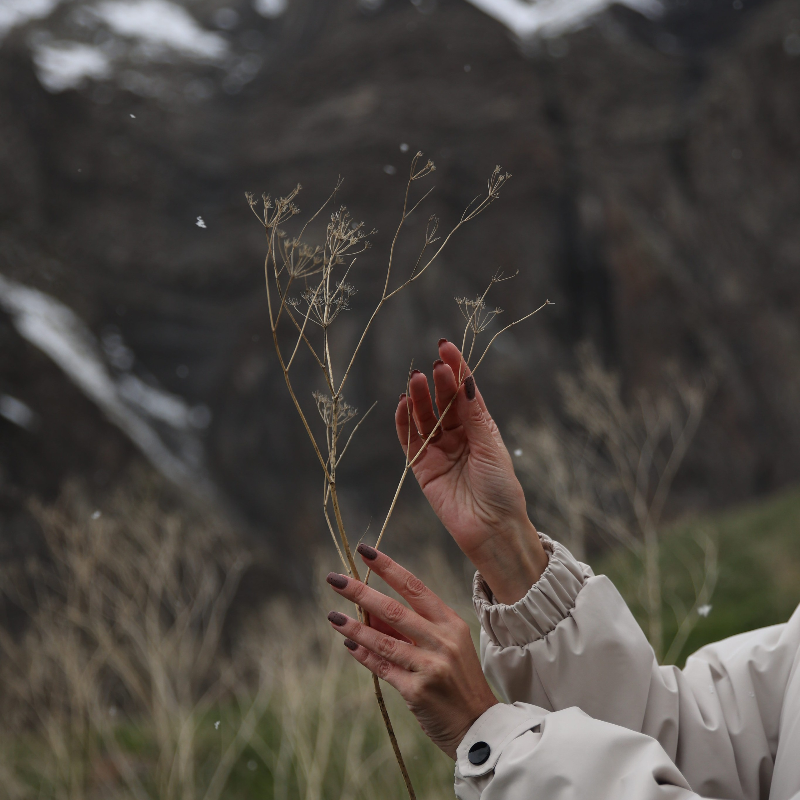 Отзывы. Свадебный и семейный фотограф в Екатеринбурге Михаил Лежнев