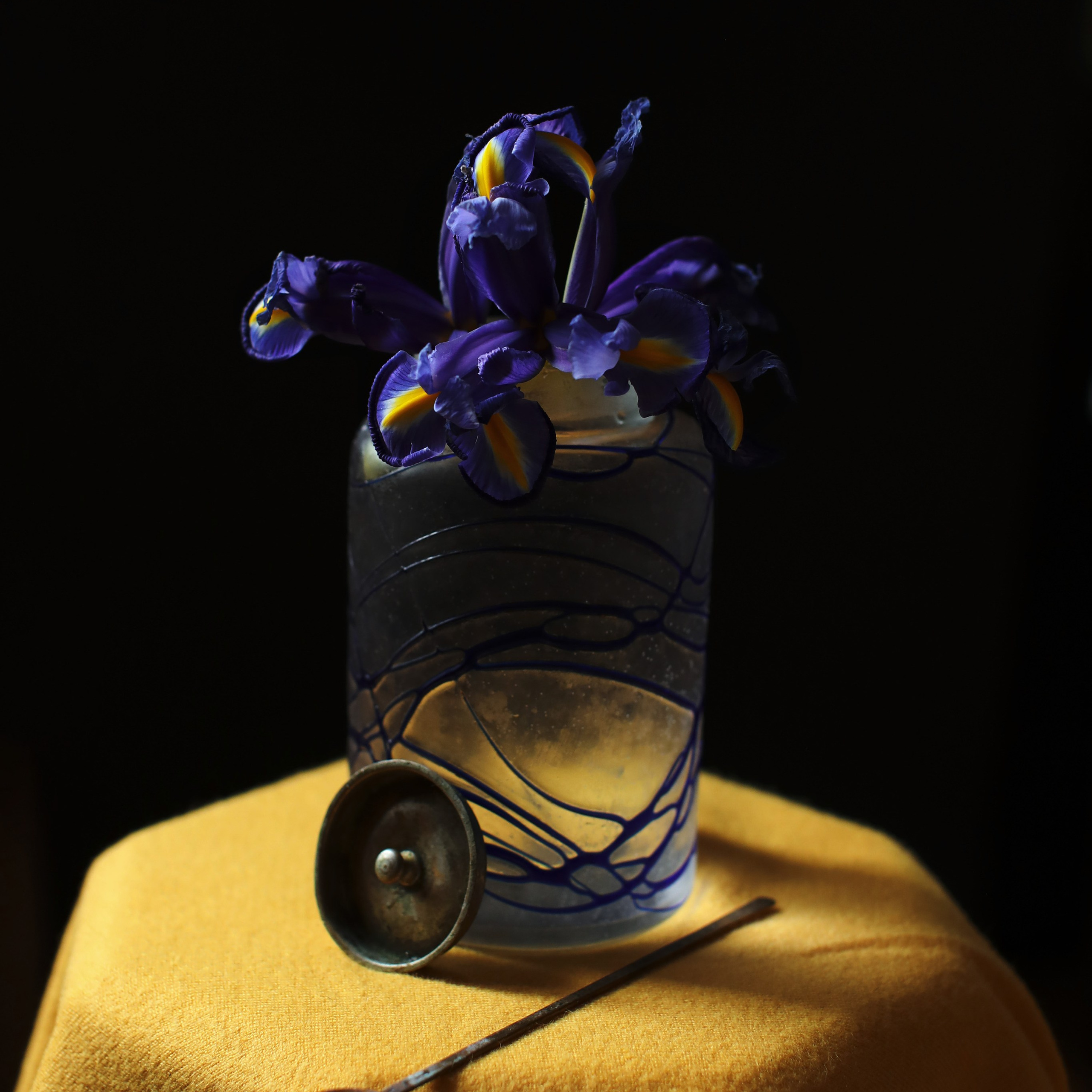 Цветы. Фотограф-портретист в Москве