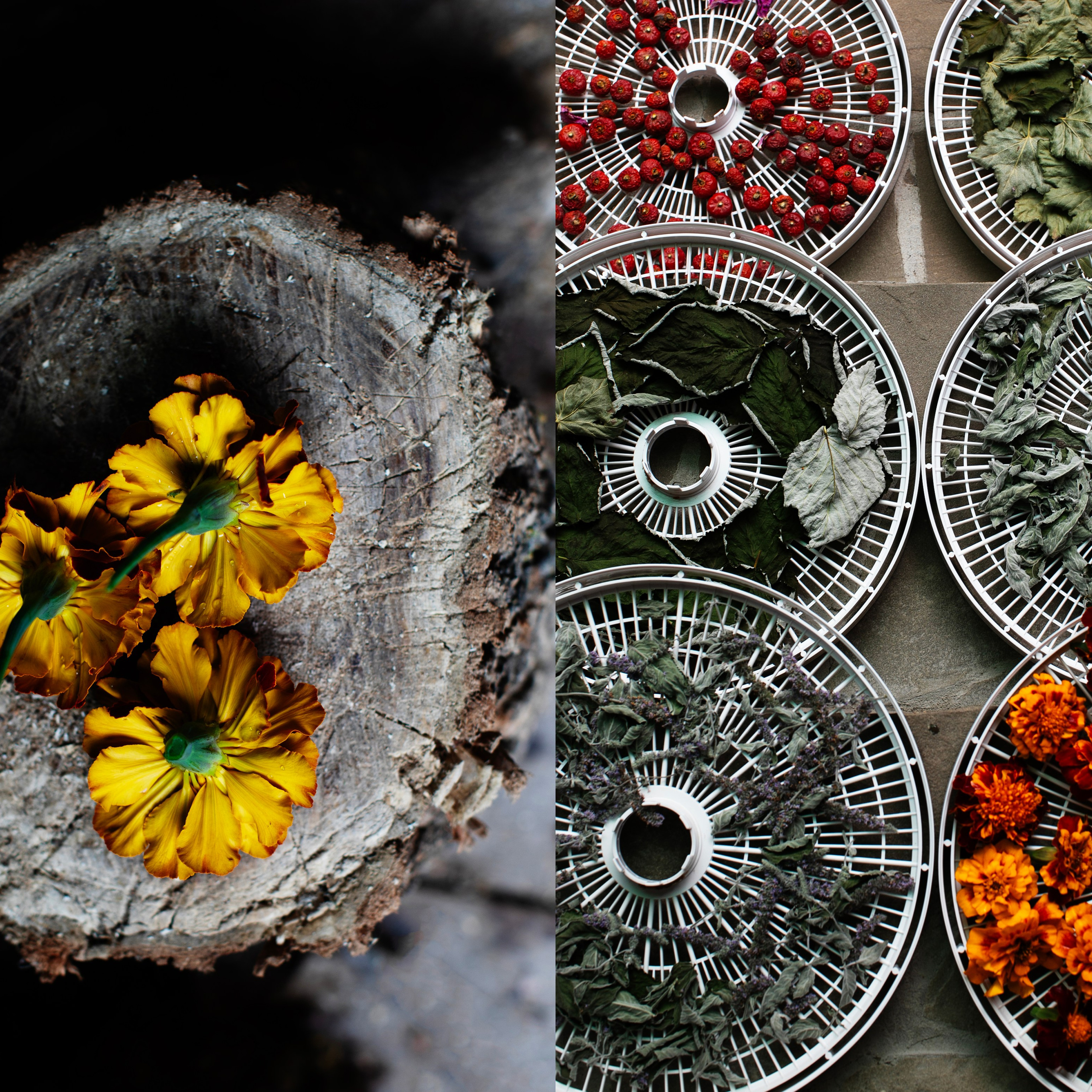 Коллажи. Фотограф-портретист в Москве