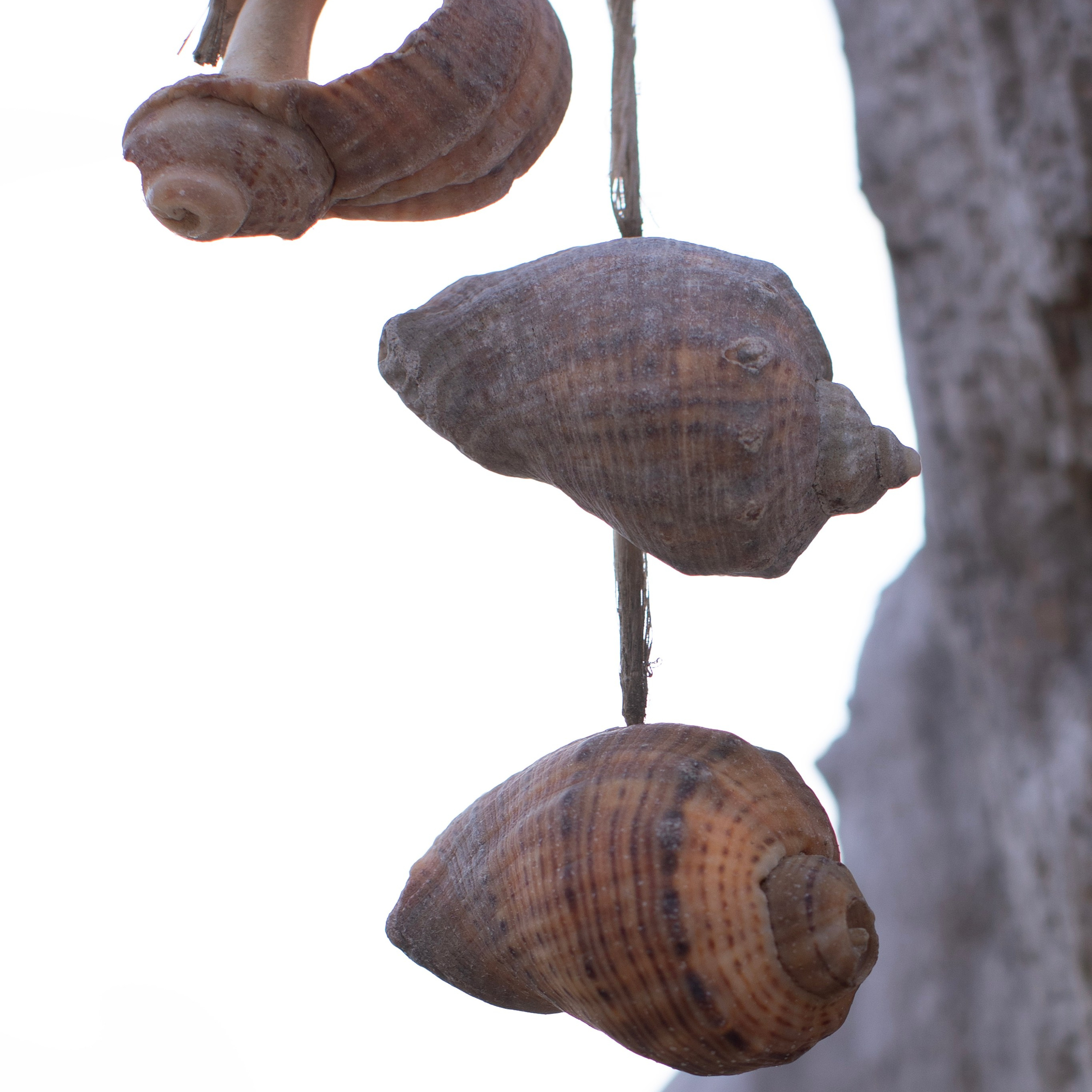 Болгария'25. Фотограф-портретист в Москве