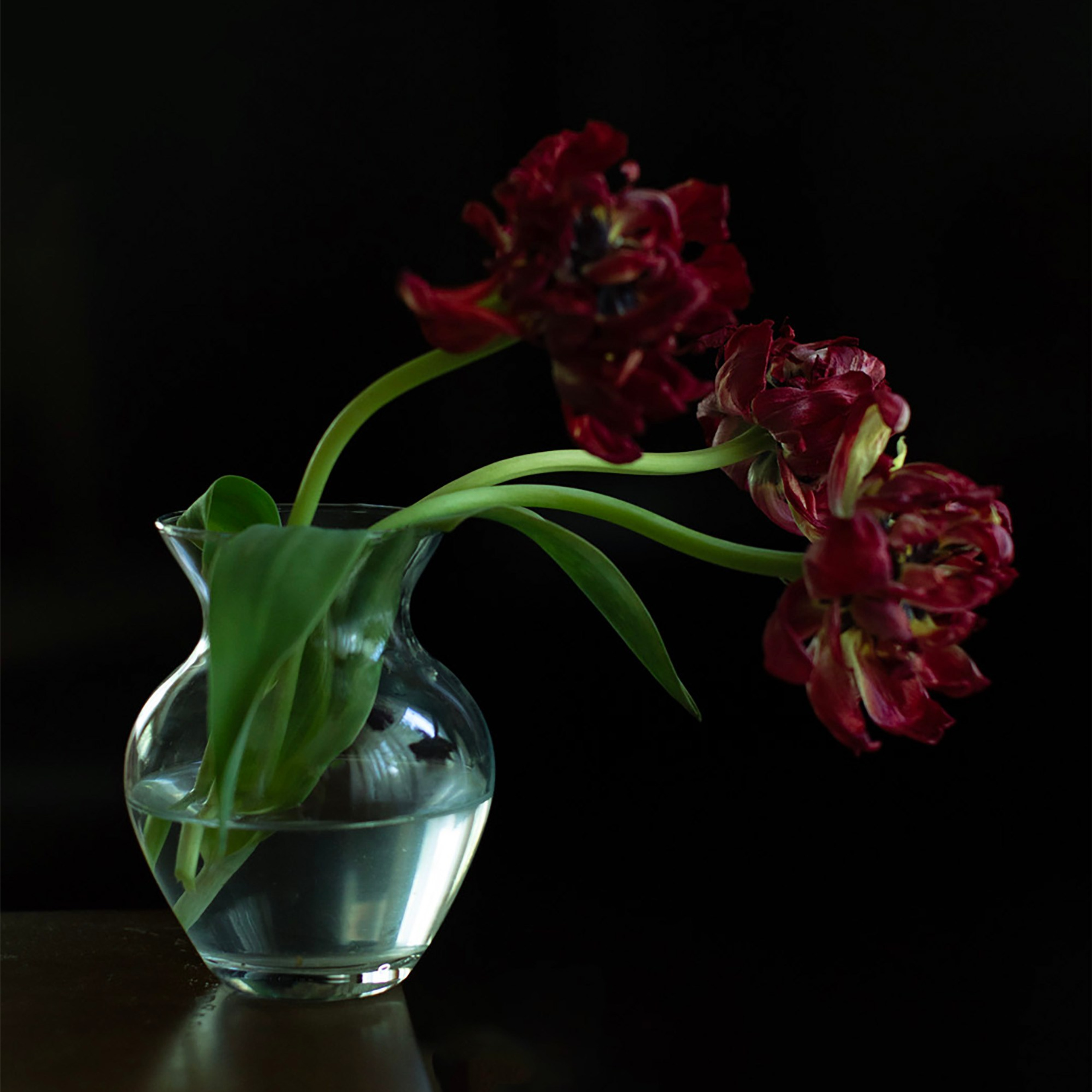 Цветы. Фотограф-портретист в Москве