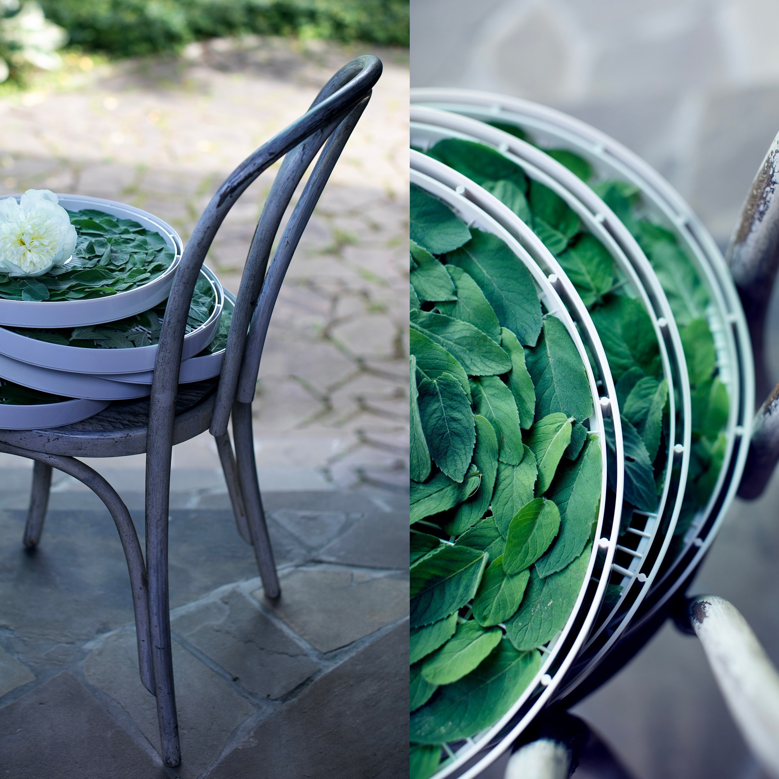 Коллажи. Фотограф-портретист в Москве