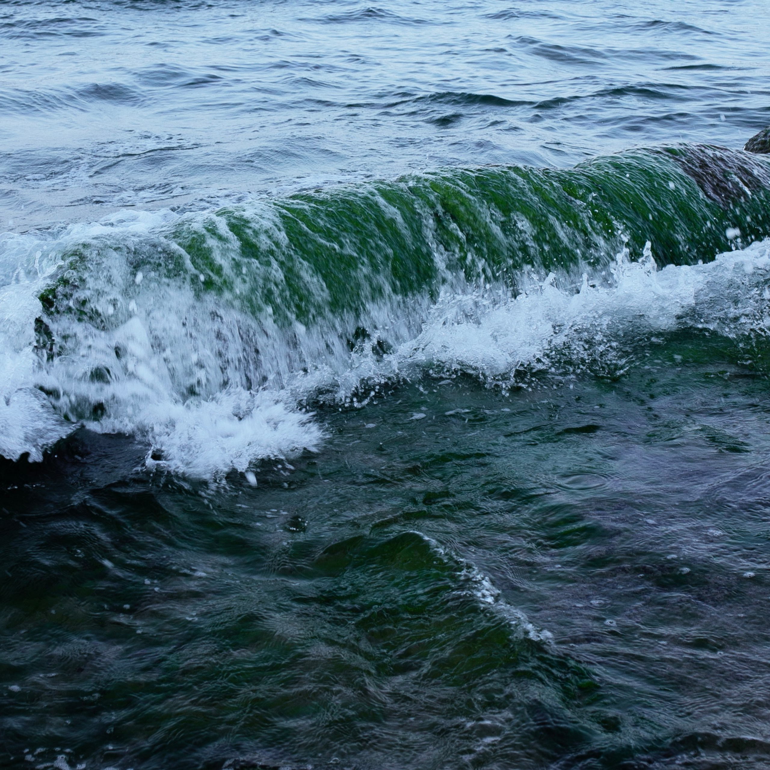 Болгария'24. Фотограф-портретист в Москве