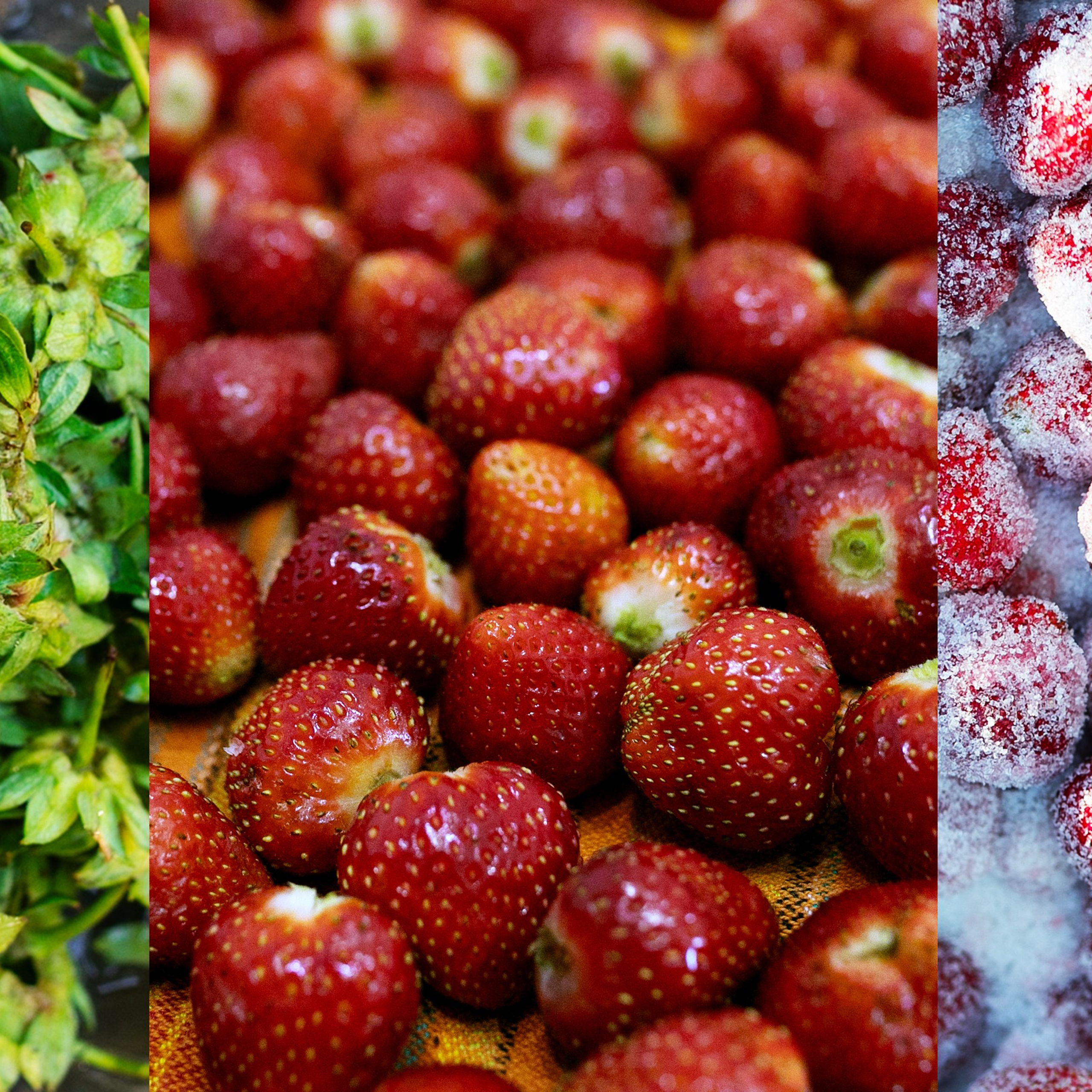 Коллажи. Фотограф-портретист в Москве