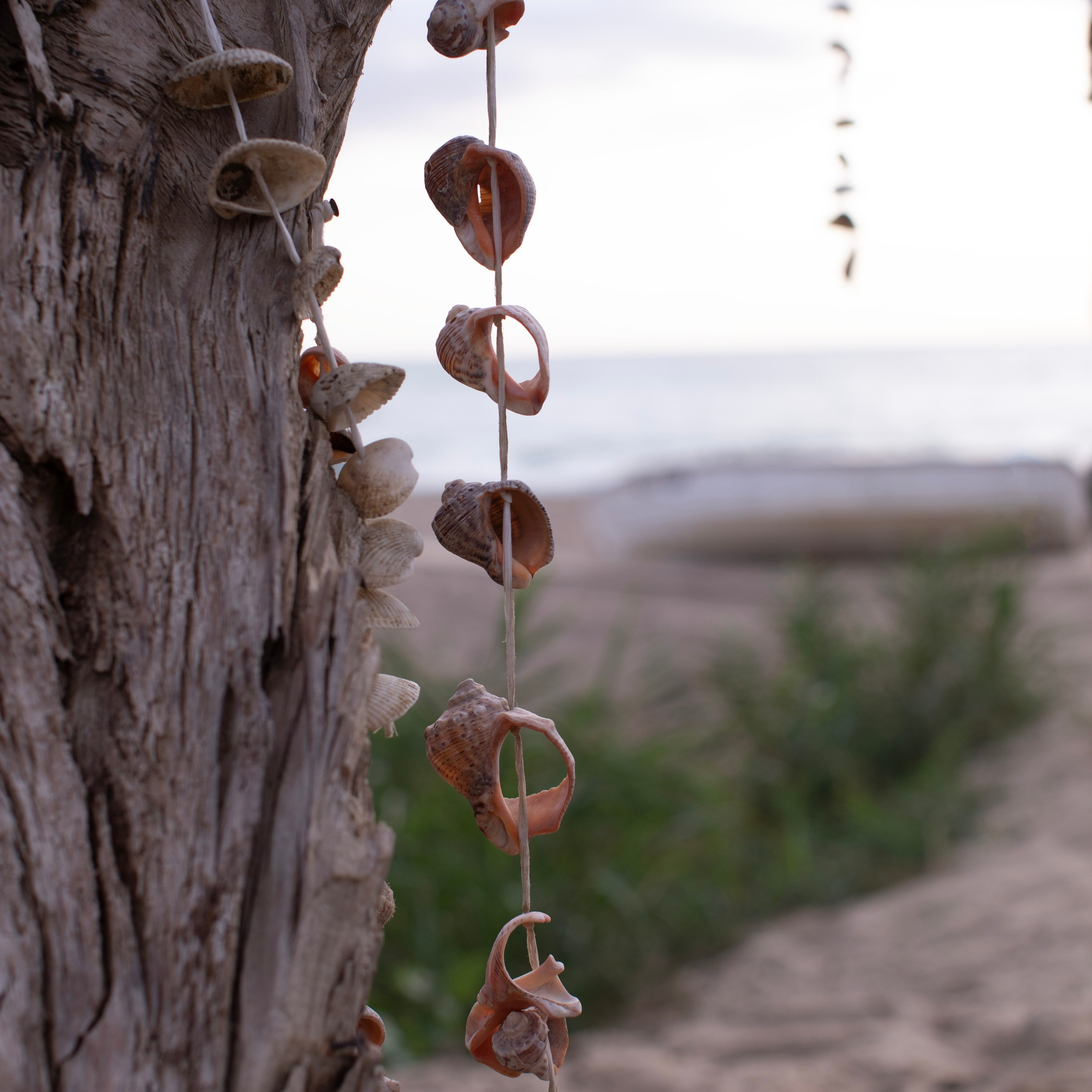 Болгария'25. Фотограф-портретист в Москве