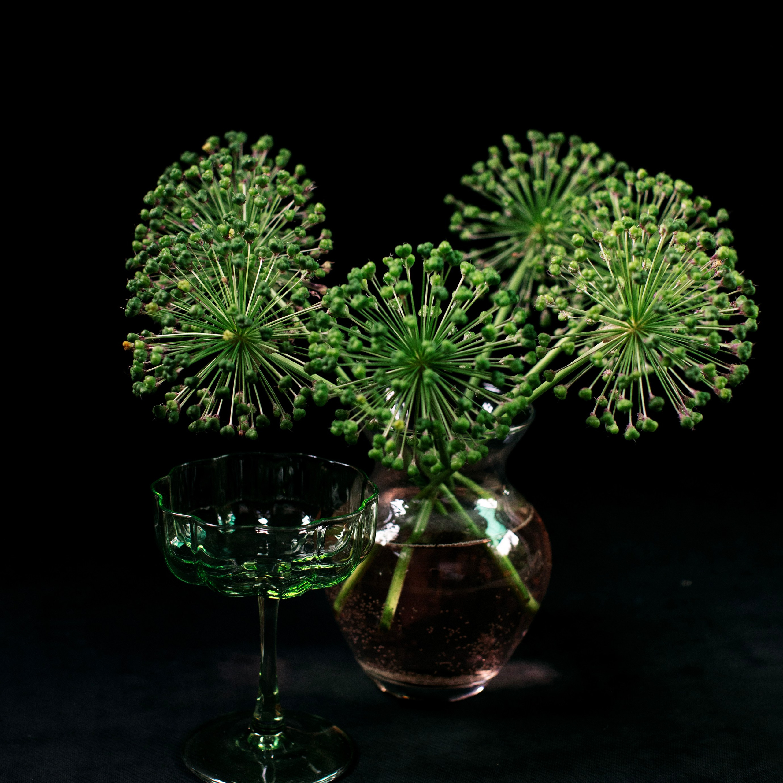 Цветы. Фотограф-портретист в Москве