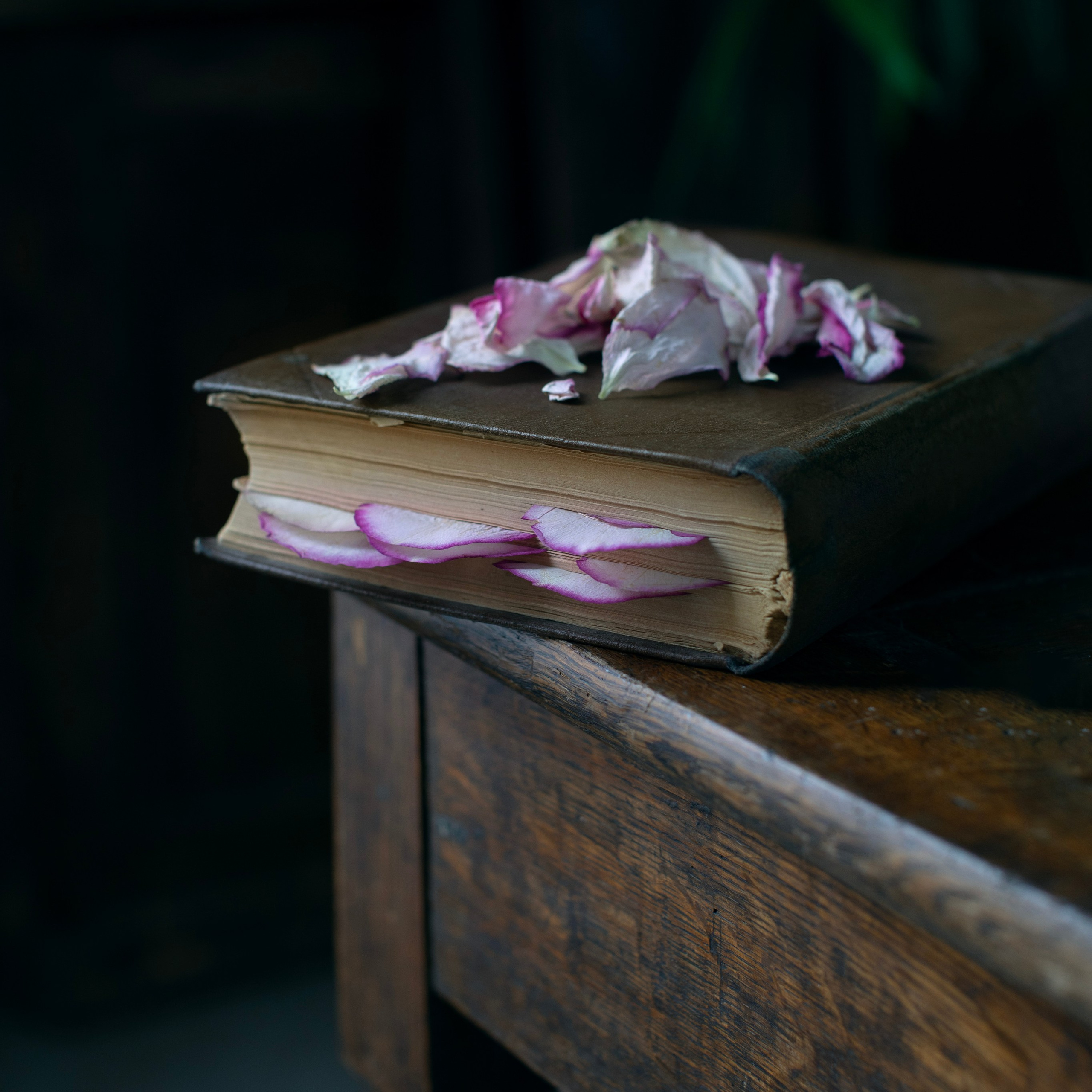 Цветы. Фотограф-портретист в Москве