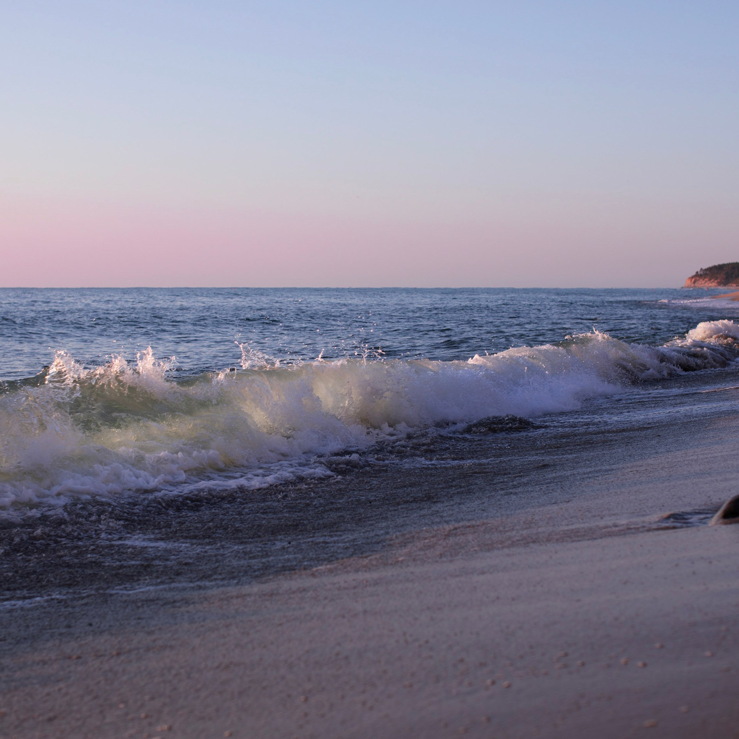 Болгария'25. Фотограф-портретист в Москве