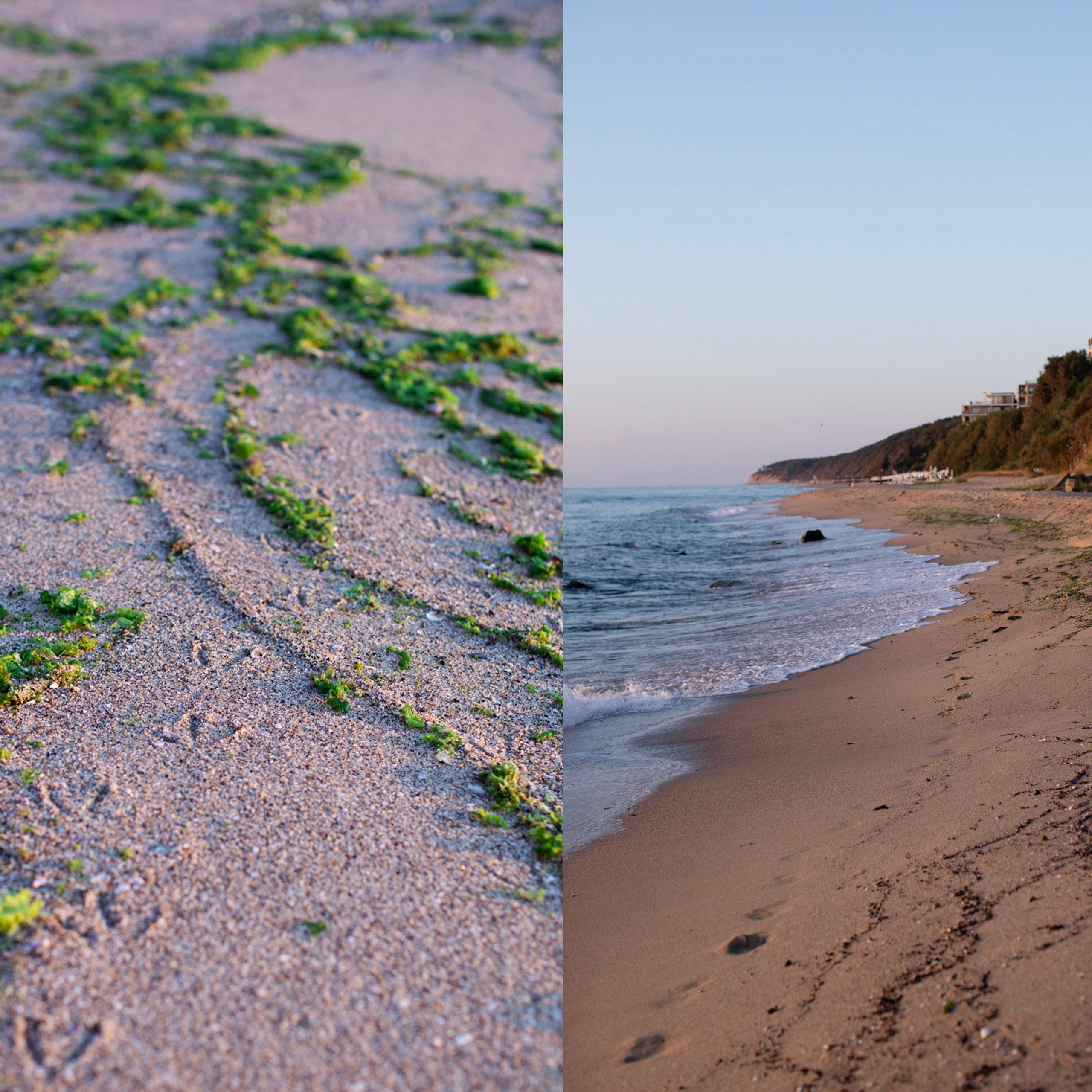 Болгария'25. Фотограф-портретист в Москве