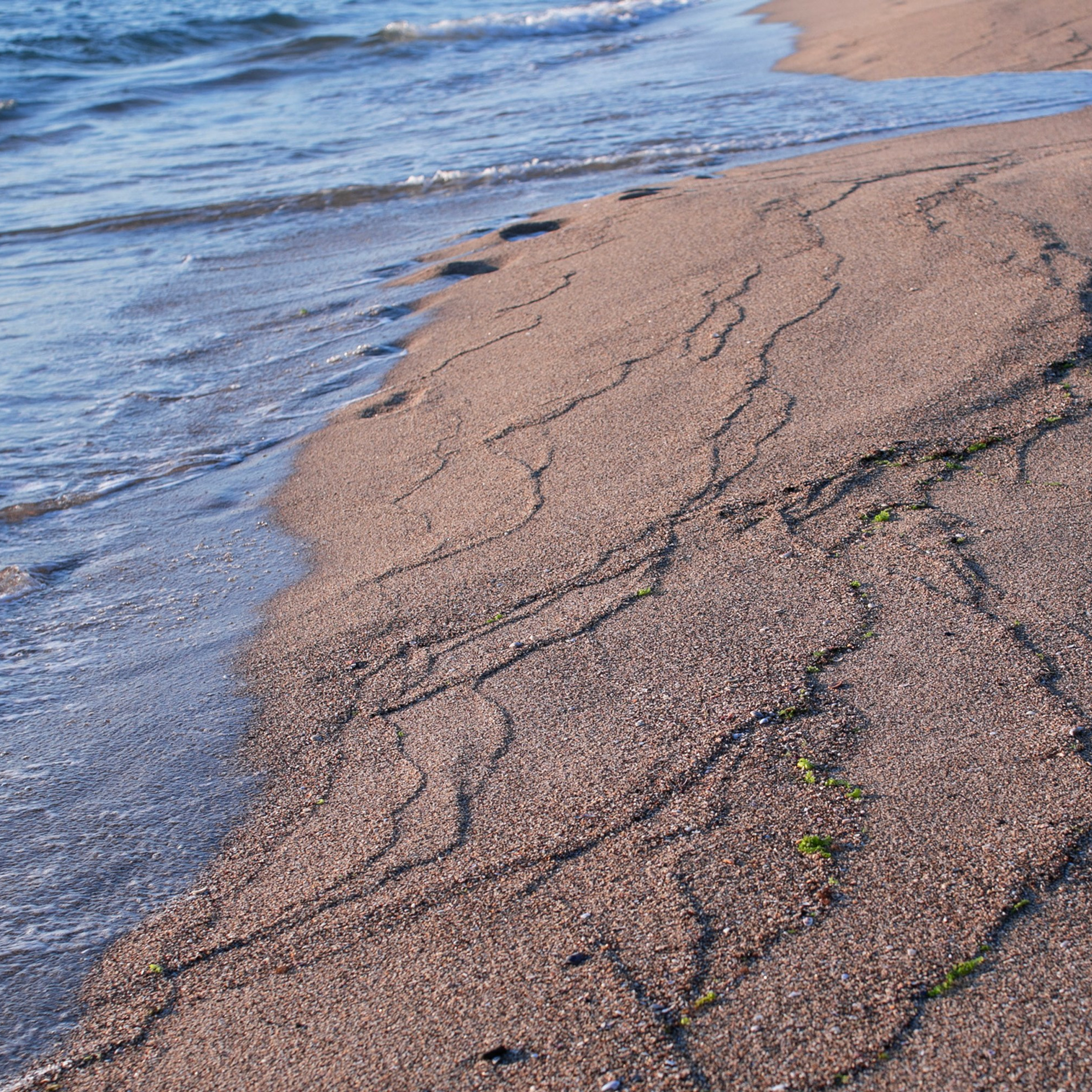 Болгария'25. Фотограф-портретист в Москве
