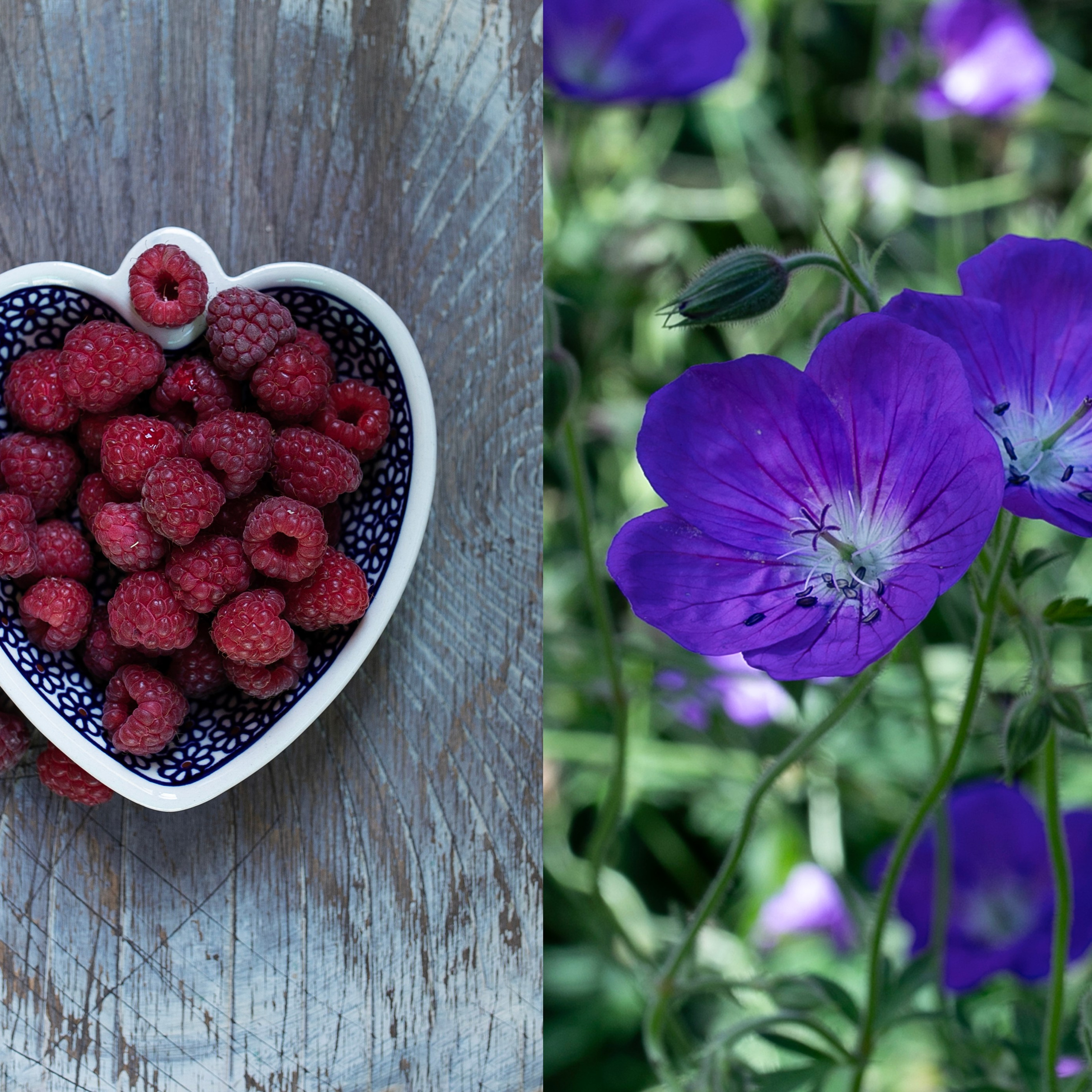Коллажи. Фотограф-портретист в Москве
