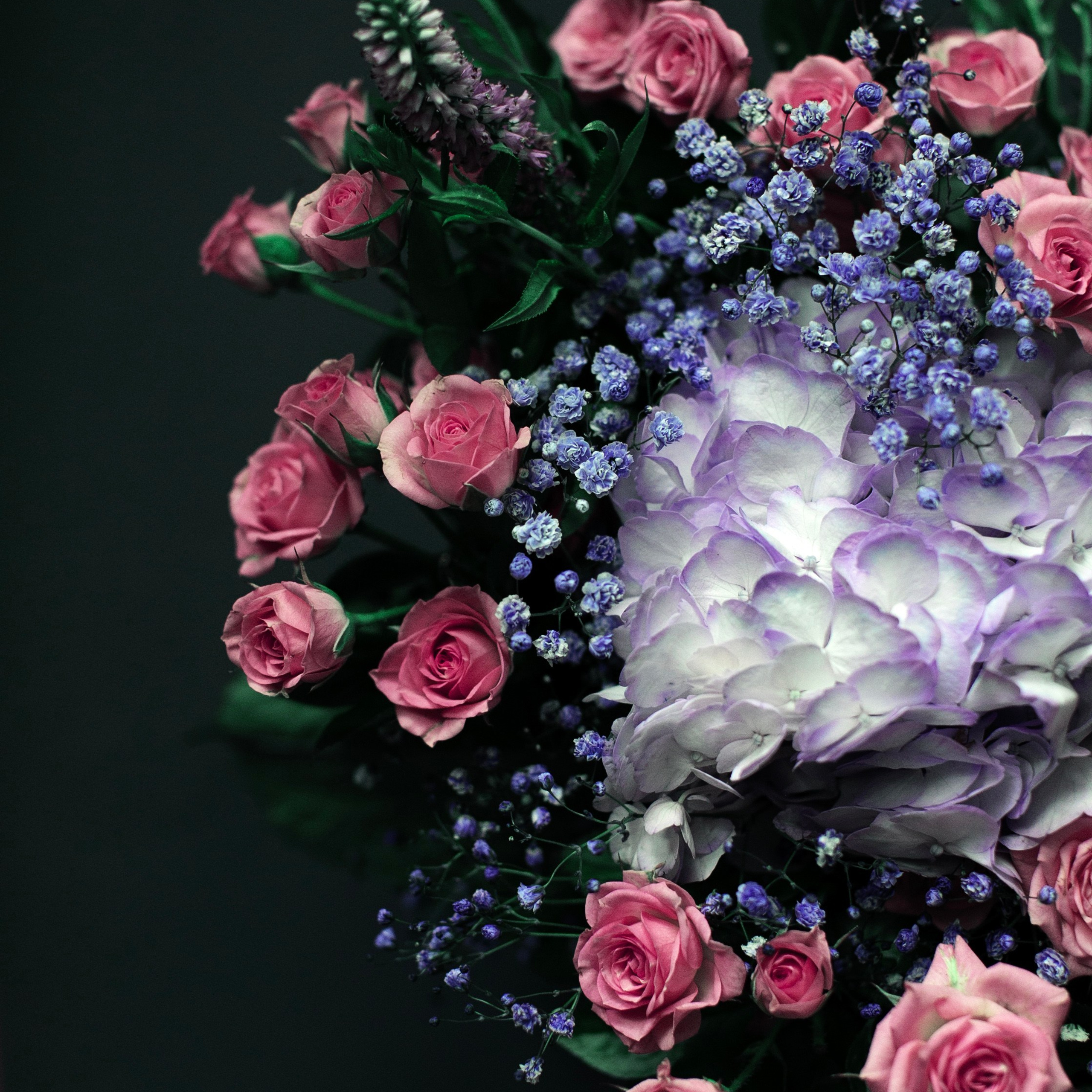 Цветы. Фотограф-портретист в Москве