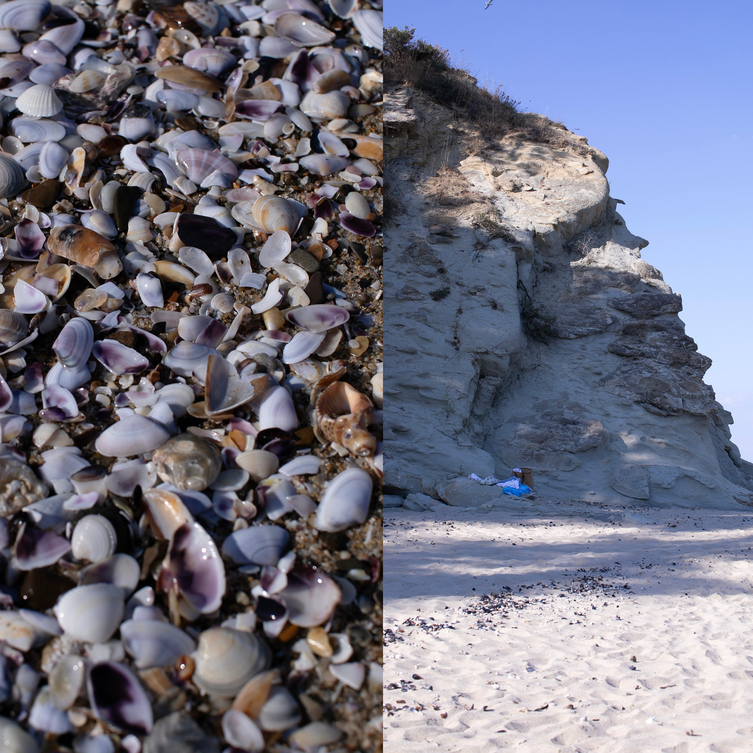 Болгария'25. Фотограф-портретист в Москве