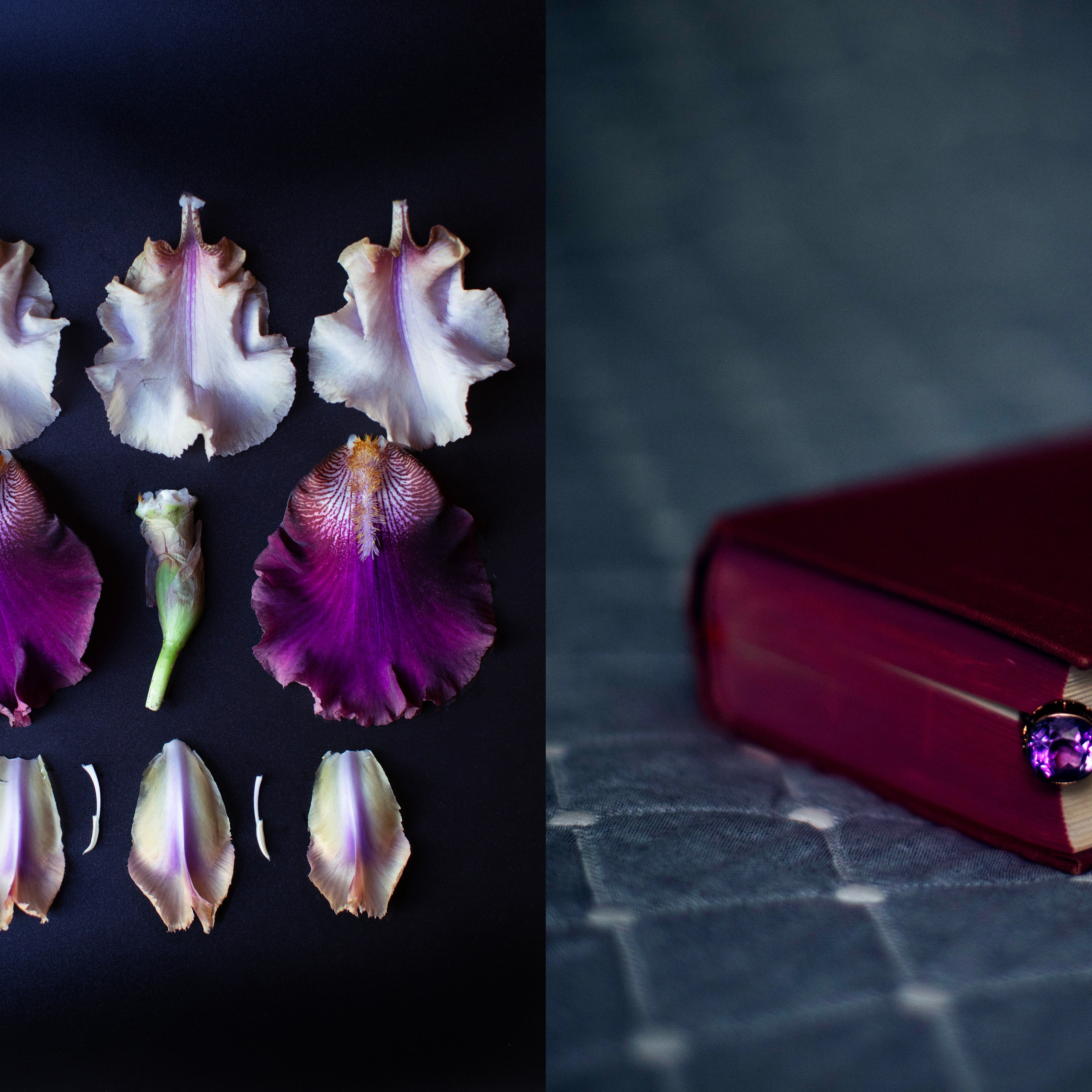 Коллажи. Фотограф-портретист в Москве