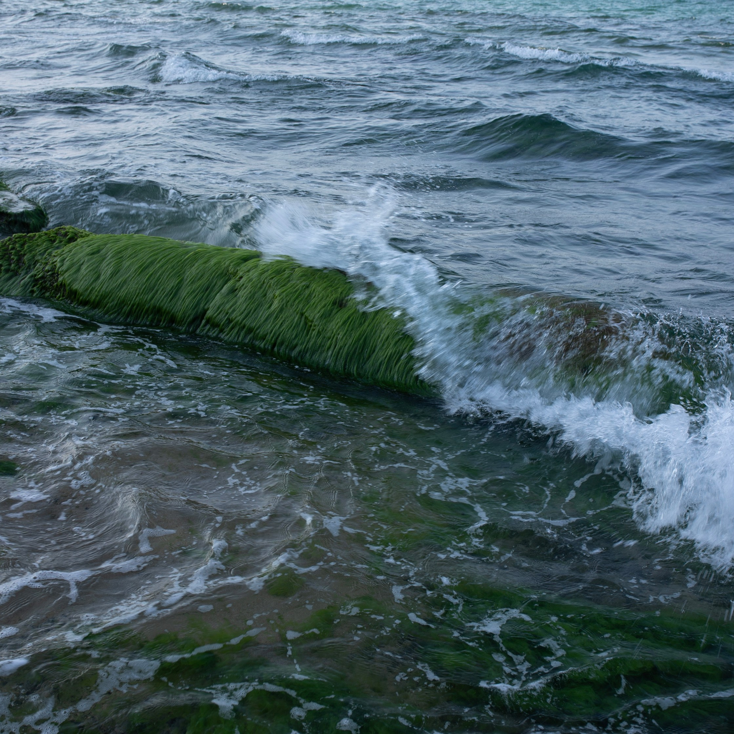 Болгария'24. Фотограф-портретист в Москве