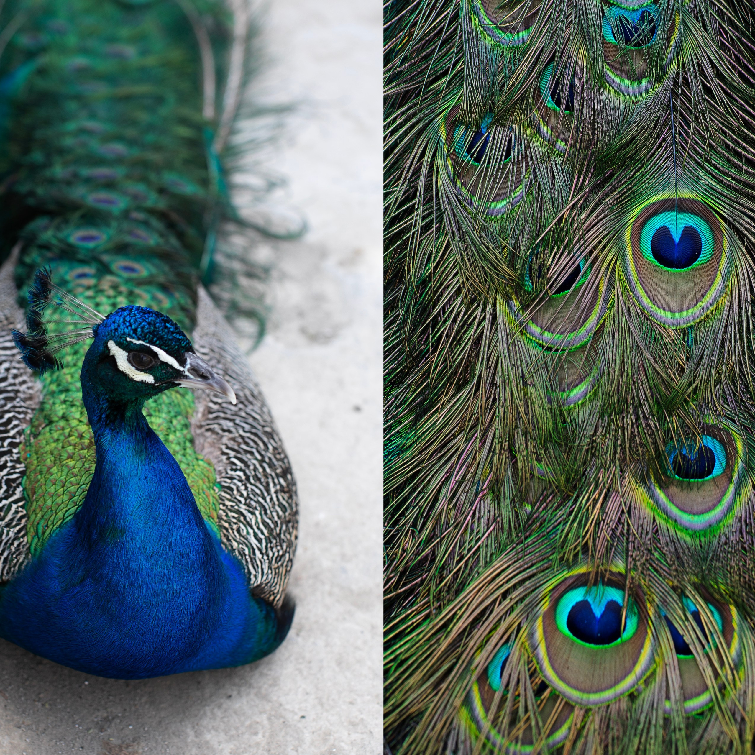 Узбекистан'24. Фотограф-портретист в Москве