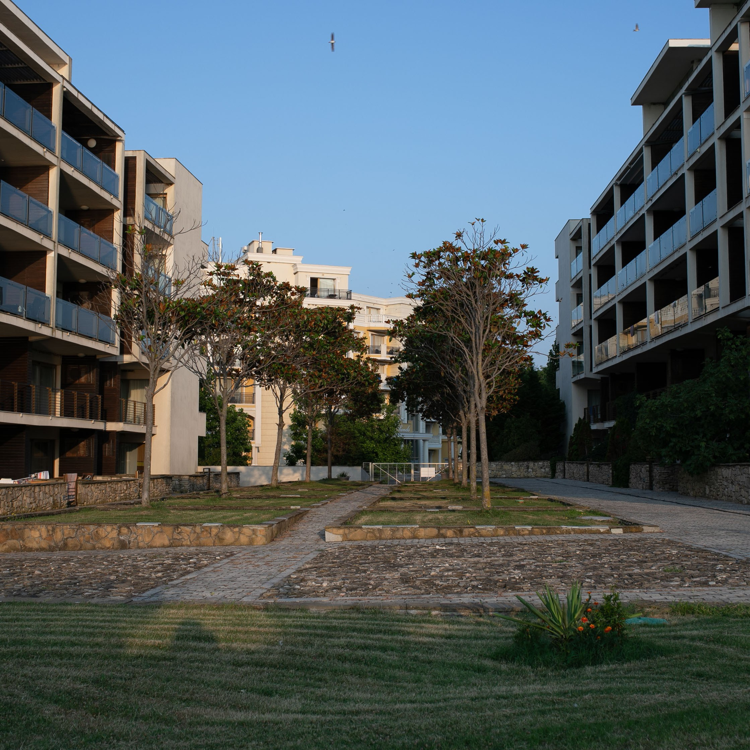 Болгария'24. Фотограф-портретист в Москве
