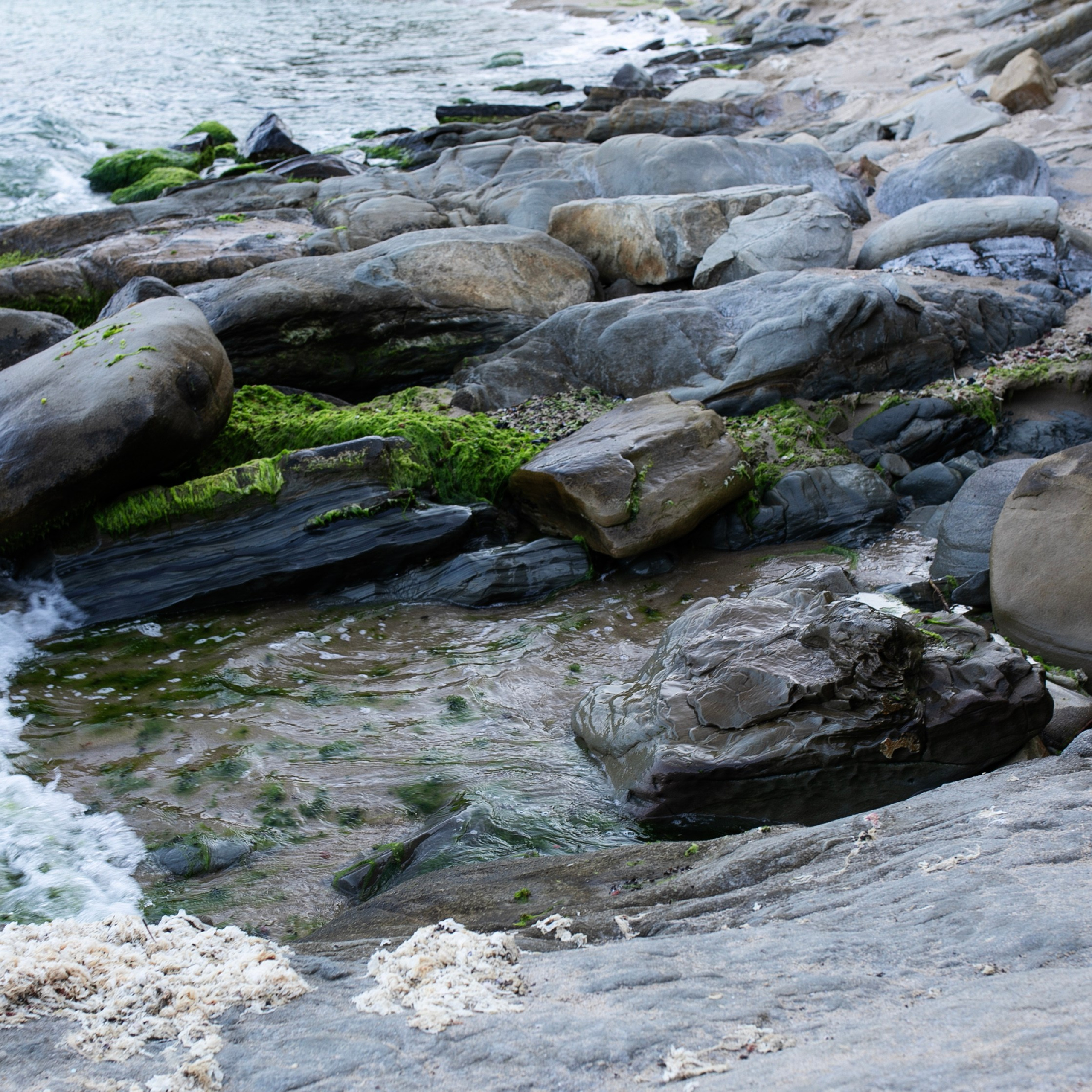 Болгария'24. Фотограф-портретист в Москве