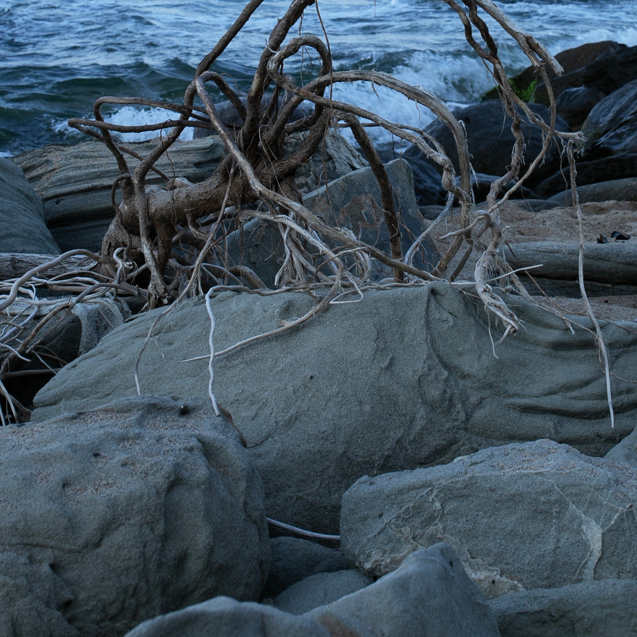 Болгария'24. Фотограф-портретист в Москве