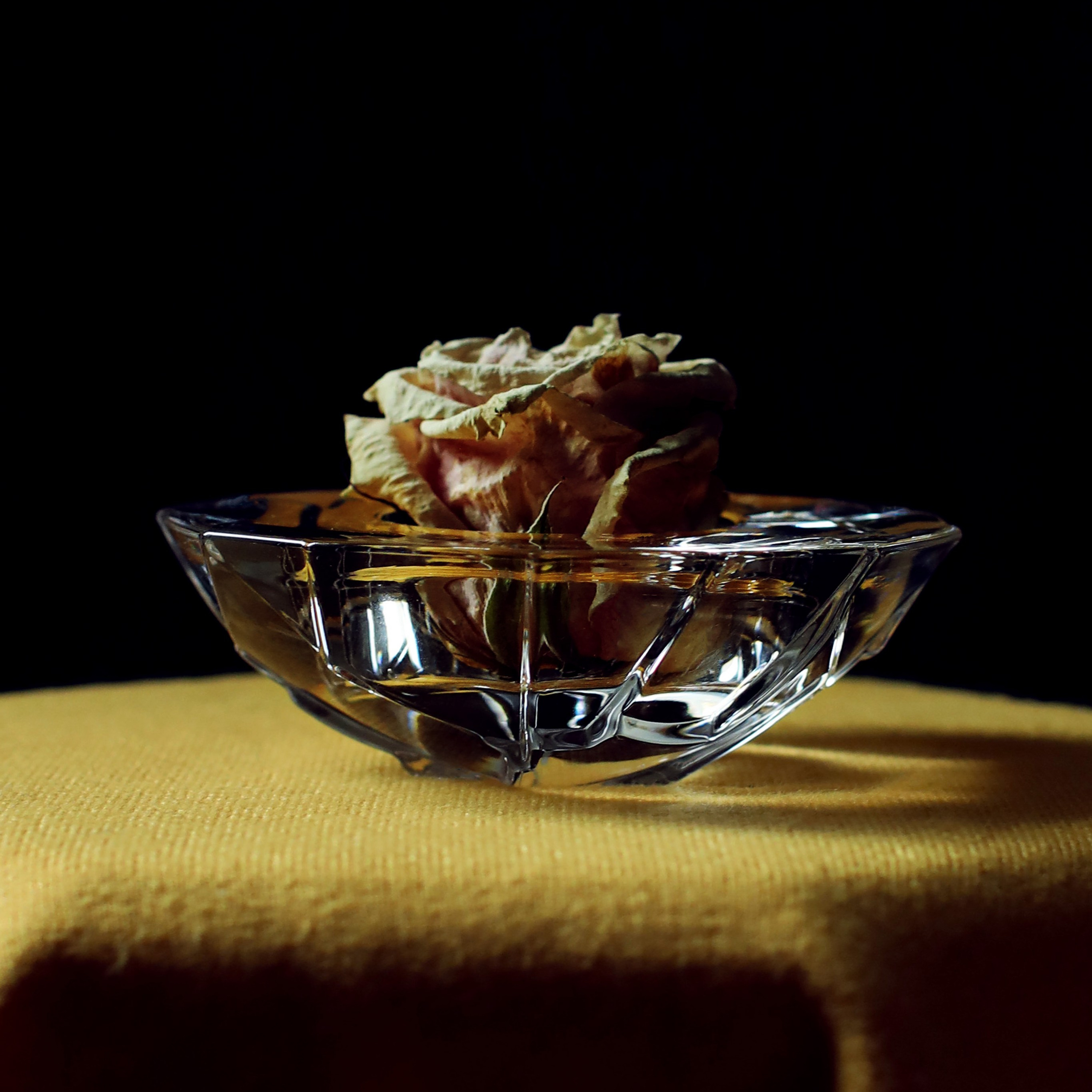 Цветы. Фотограф-портретист в Москве