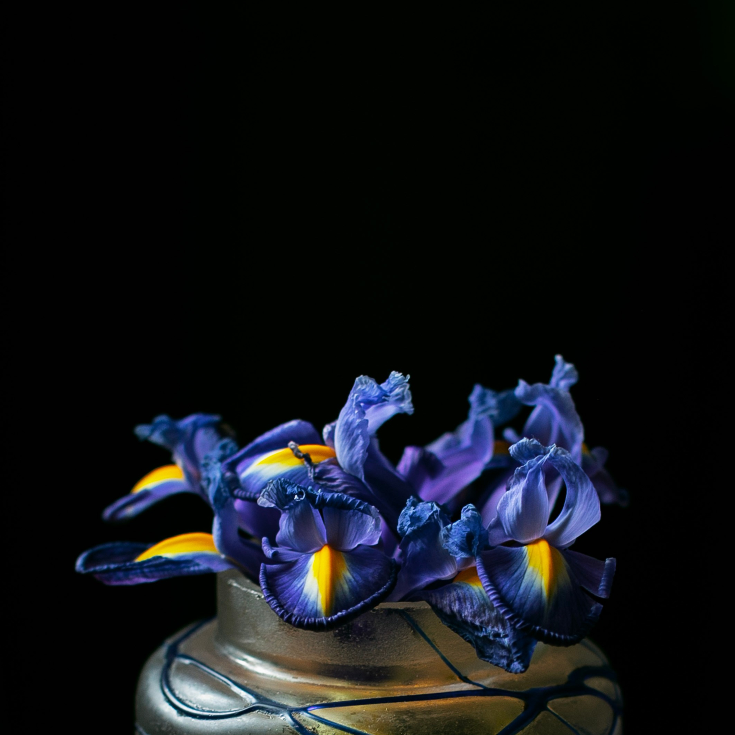 Цветы. Фотограф-портретист в Москве