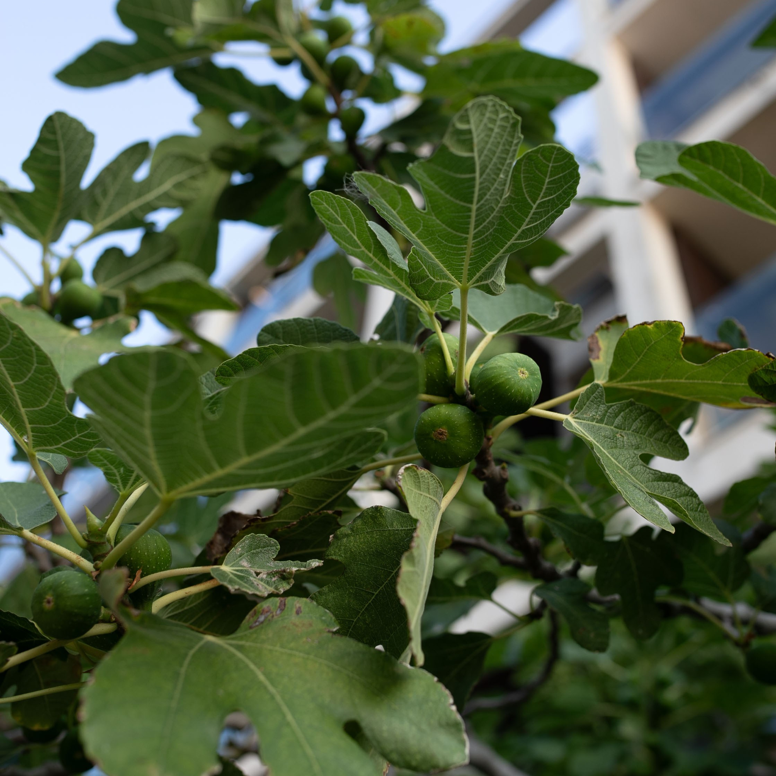 Болгария'24. Фотограф-портретист в Москве