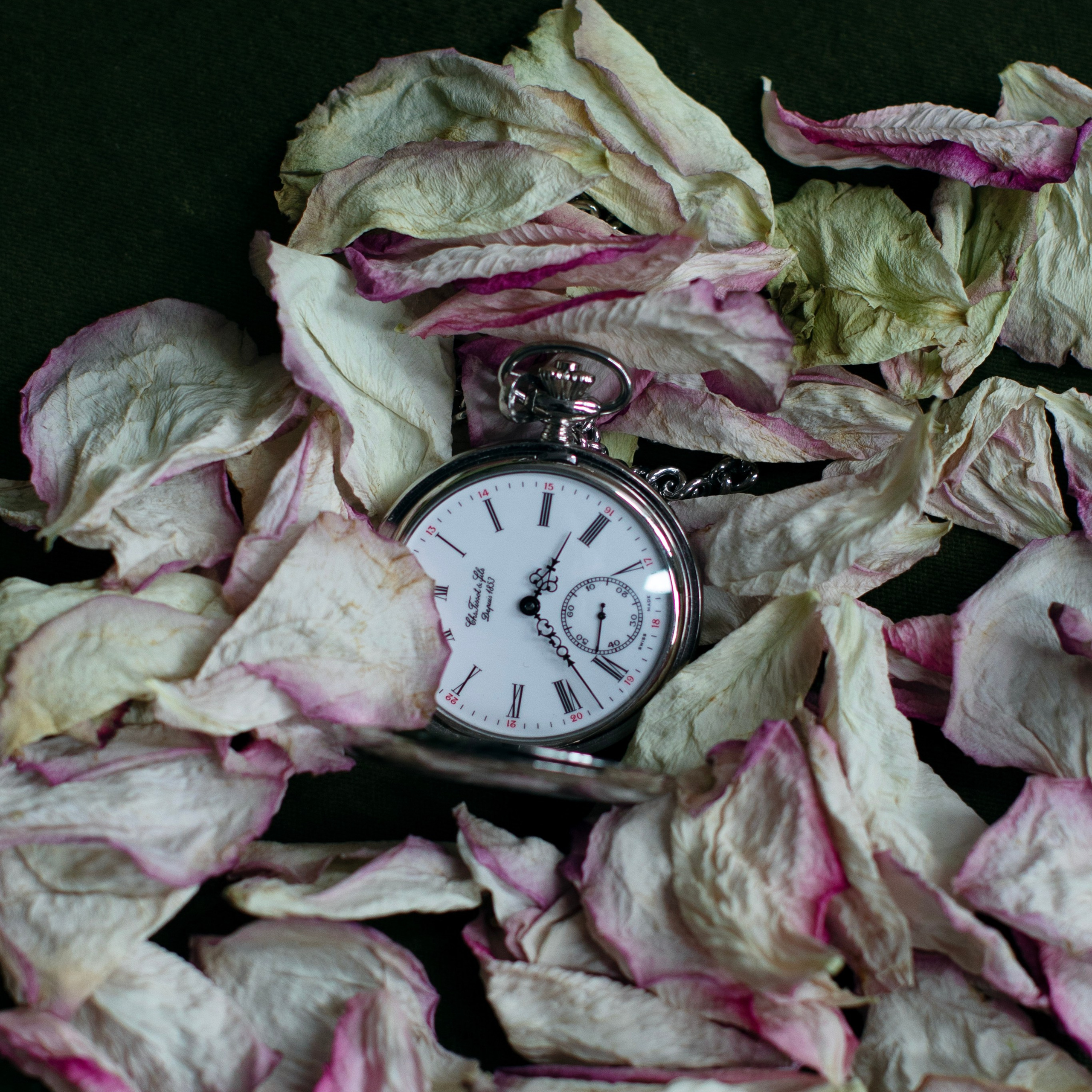 Цветы. Фотограф-портретист в Москве