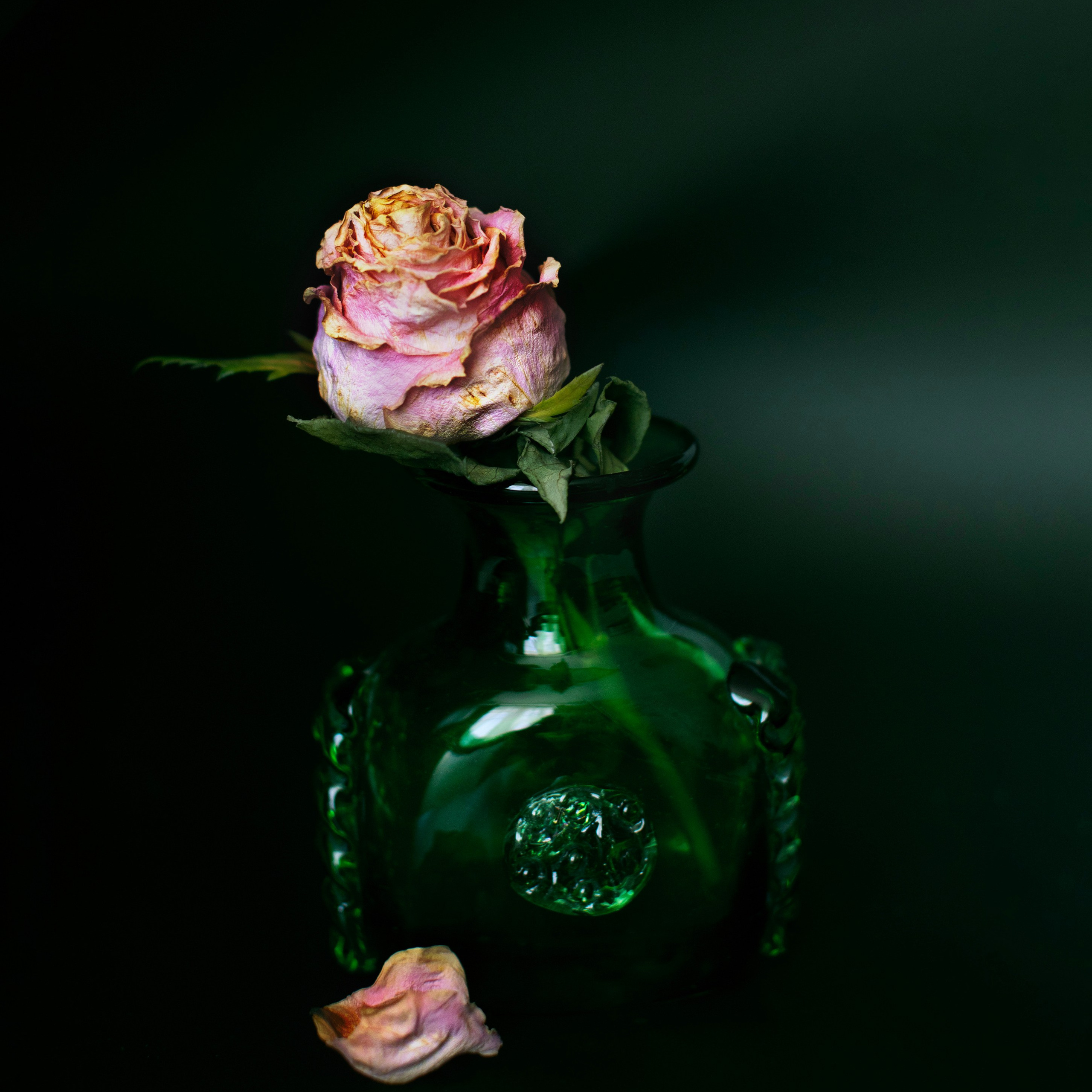 Цветы. Фотограф-портретист в Москве