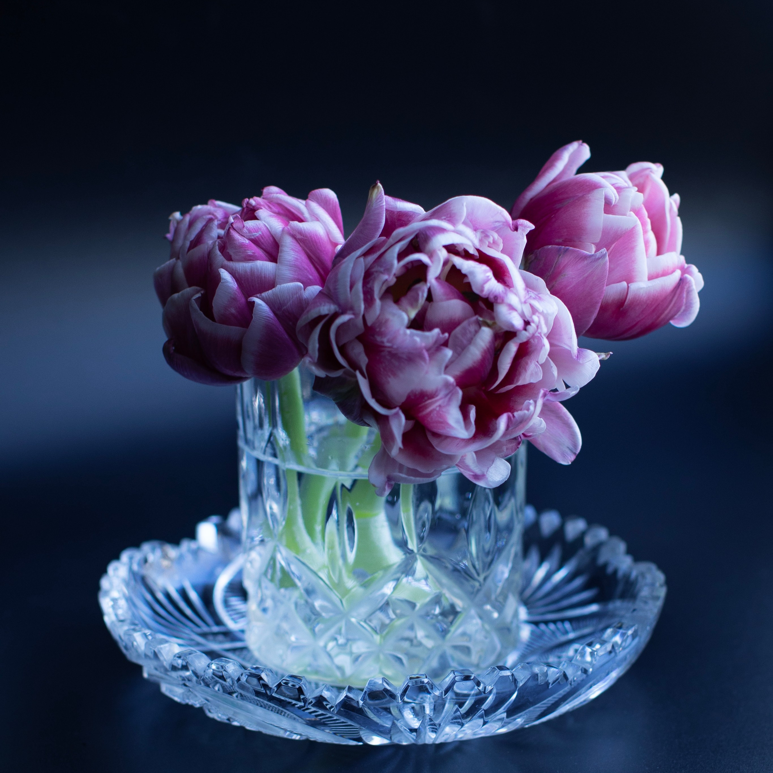 Цветы. Фотограф-портретист в Москве