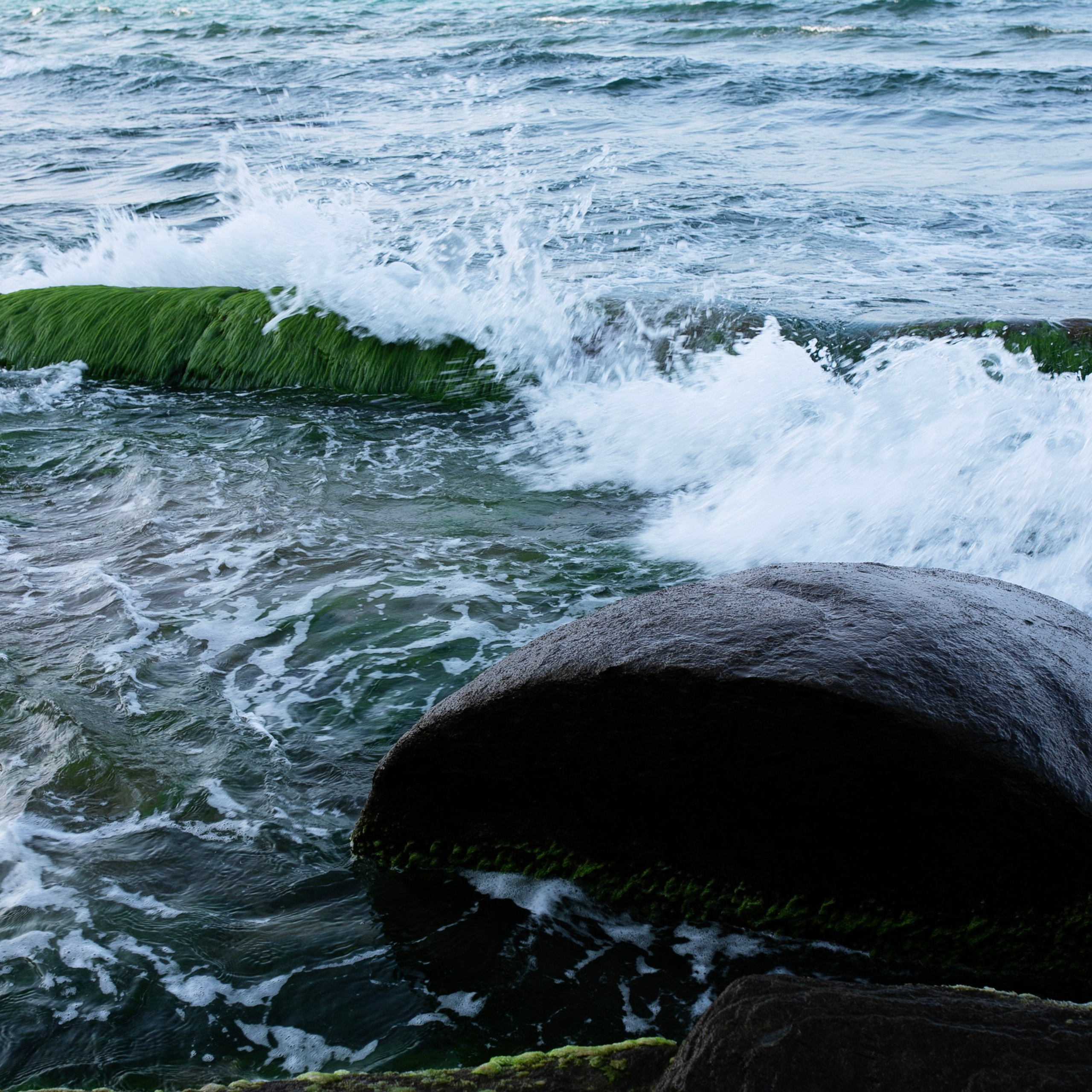 Болгария'24. Фотограф-портретист в Москве